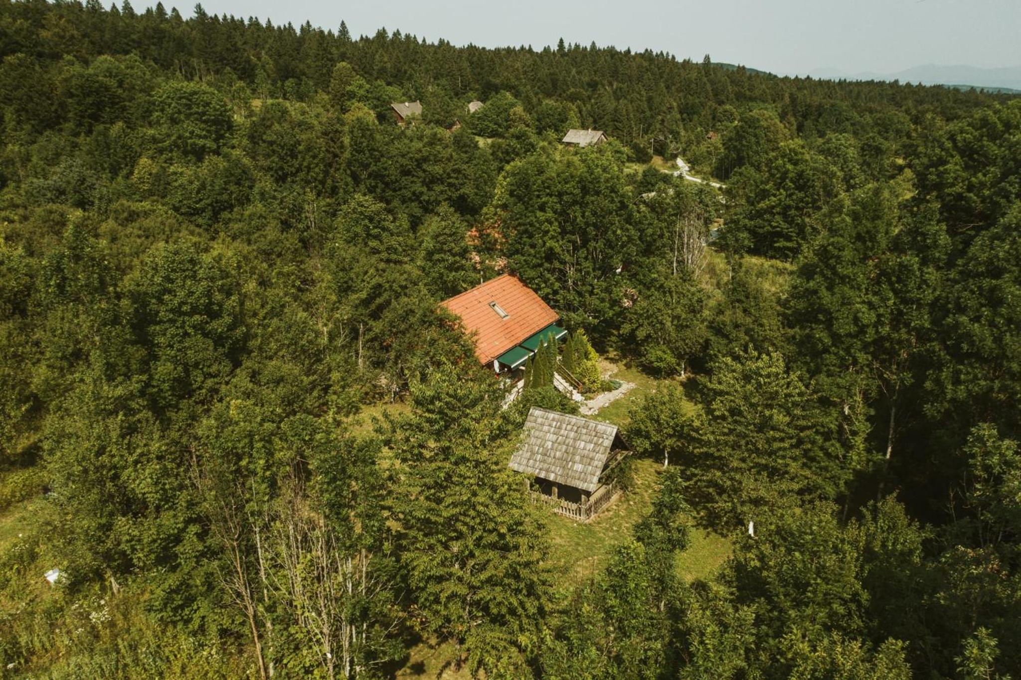 Photo 41