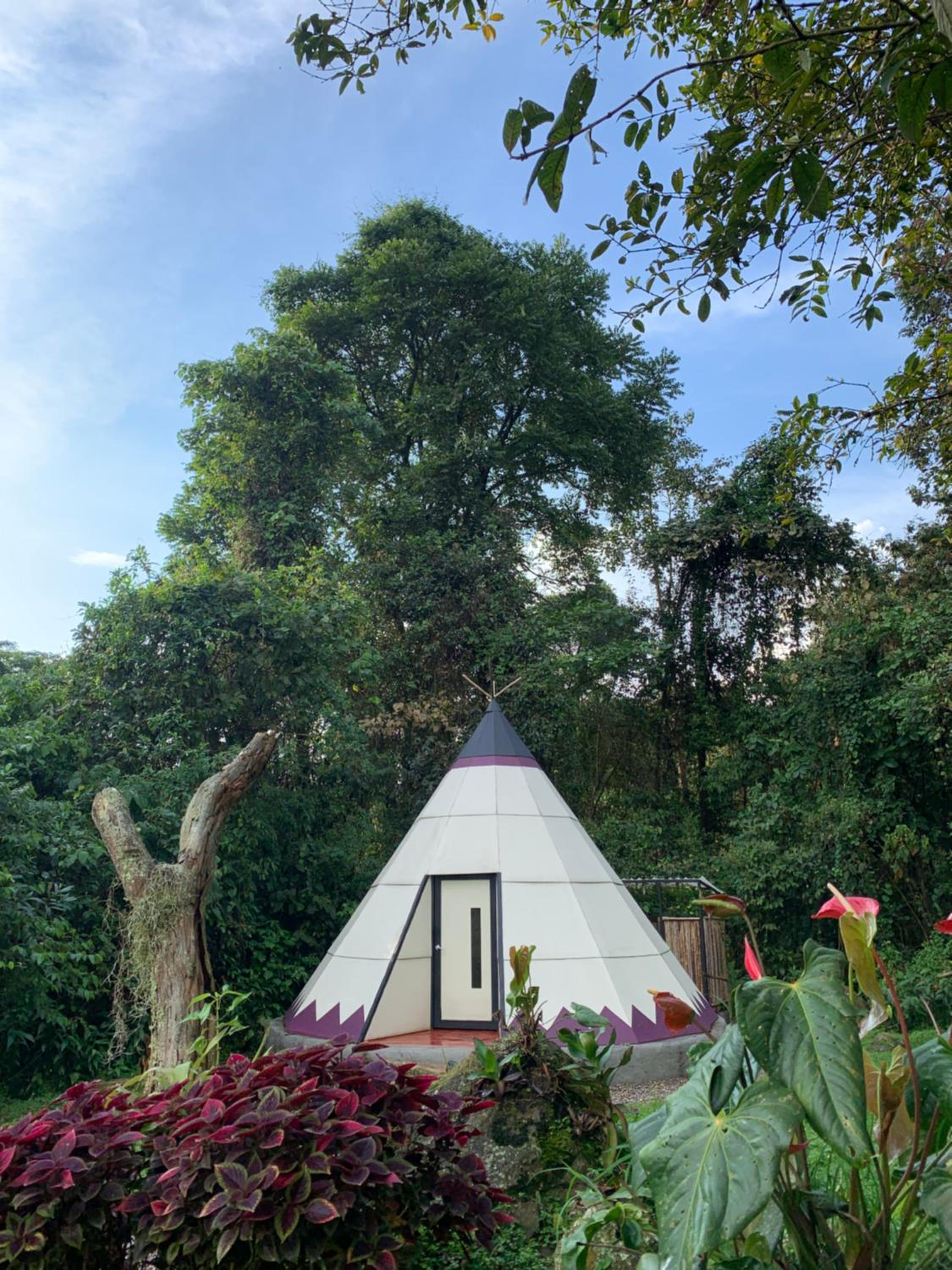 Bosque de Aventura & Glamping El Refugio del Bosque