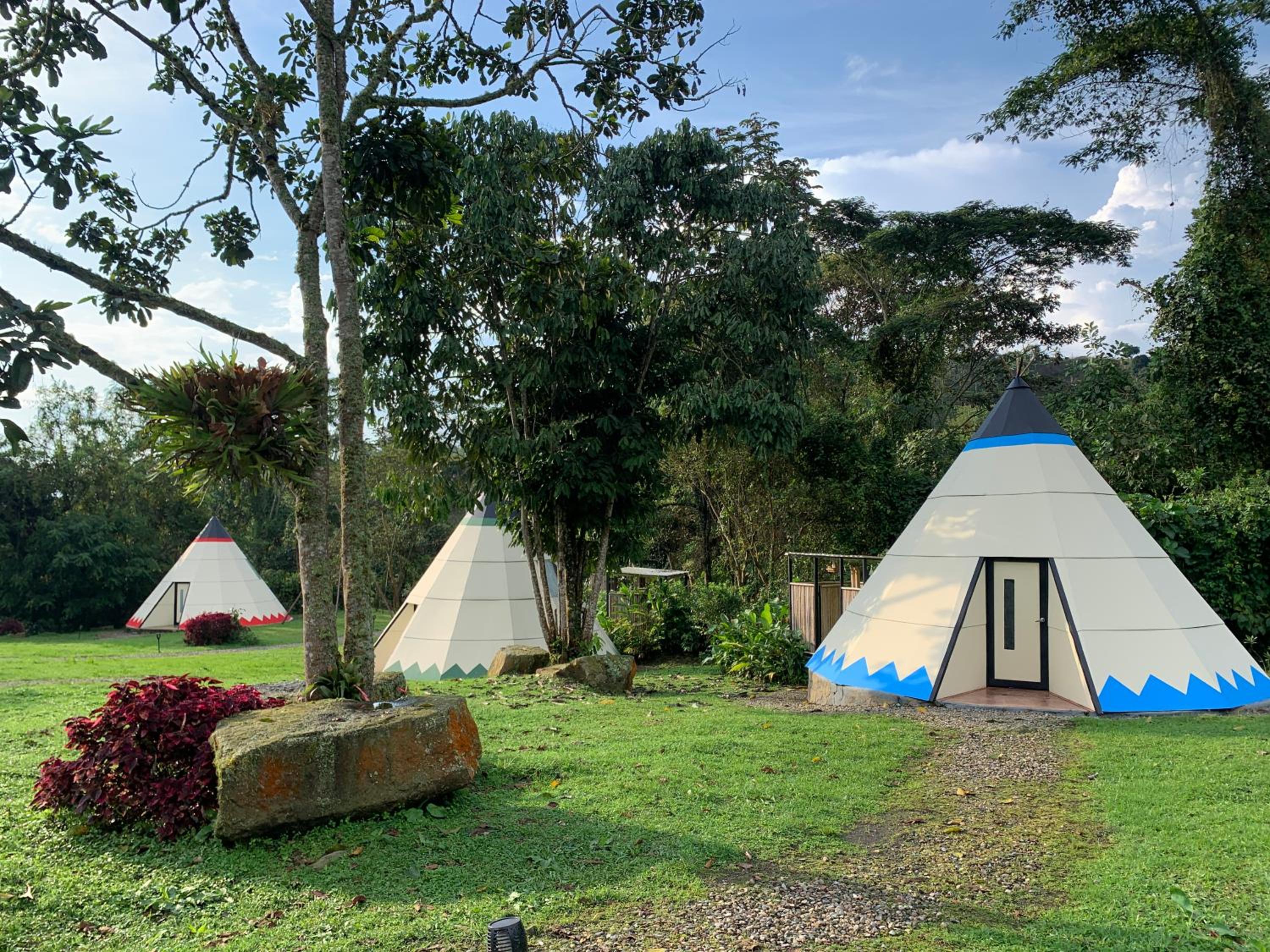 Bosque de Aventura & Glamping El Refugio del Bosque