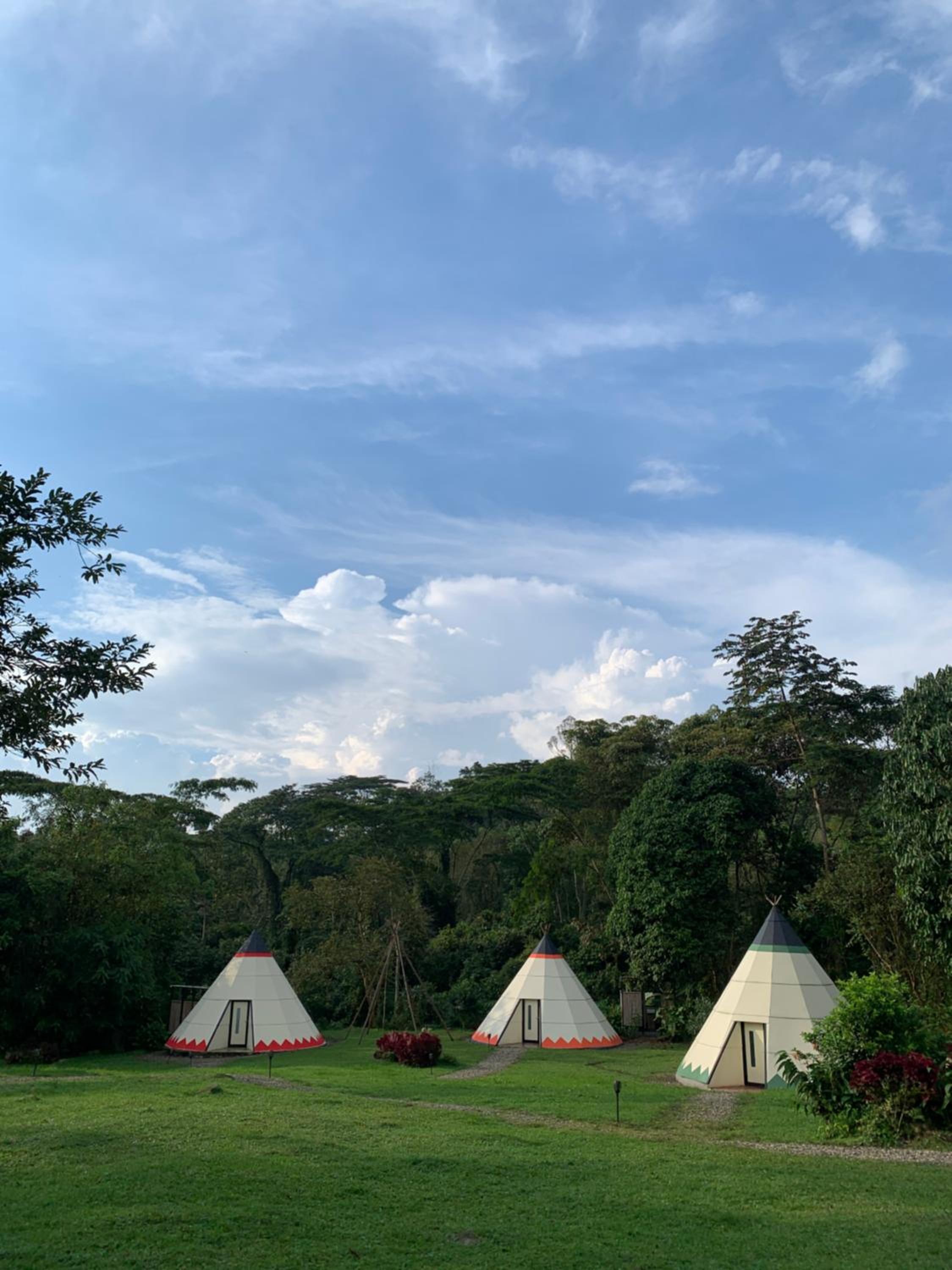 Bosque de Aventura & Glamping El Refugio del Bosque