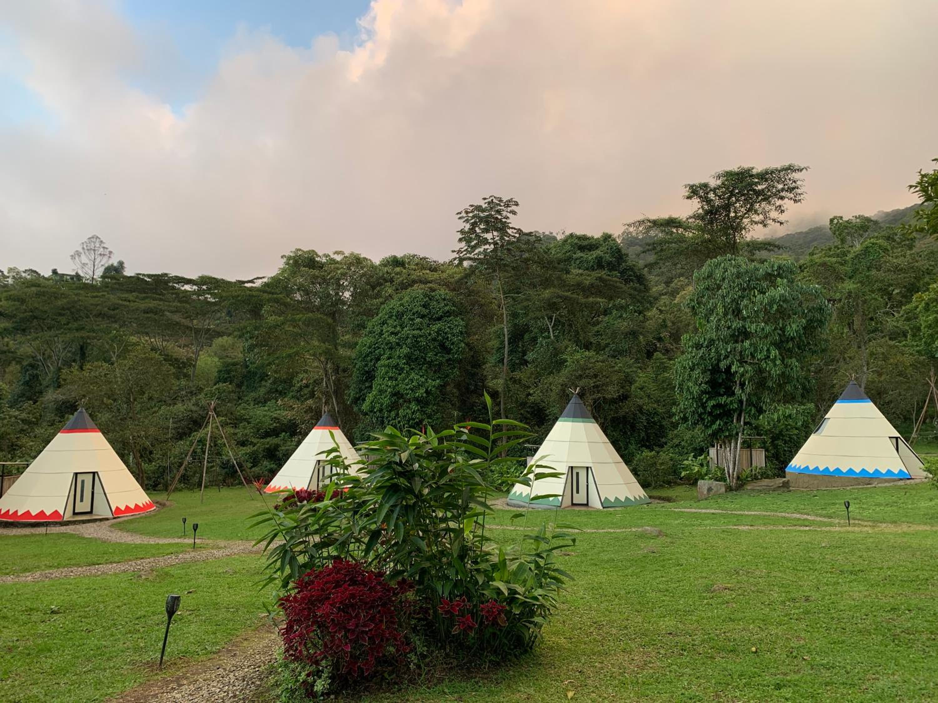 Bosque de Aventura & Glamping El Refugio del Bosque