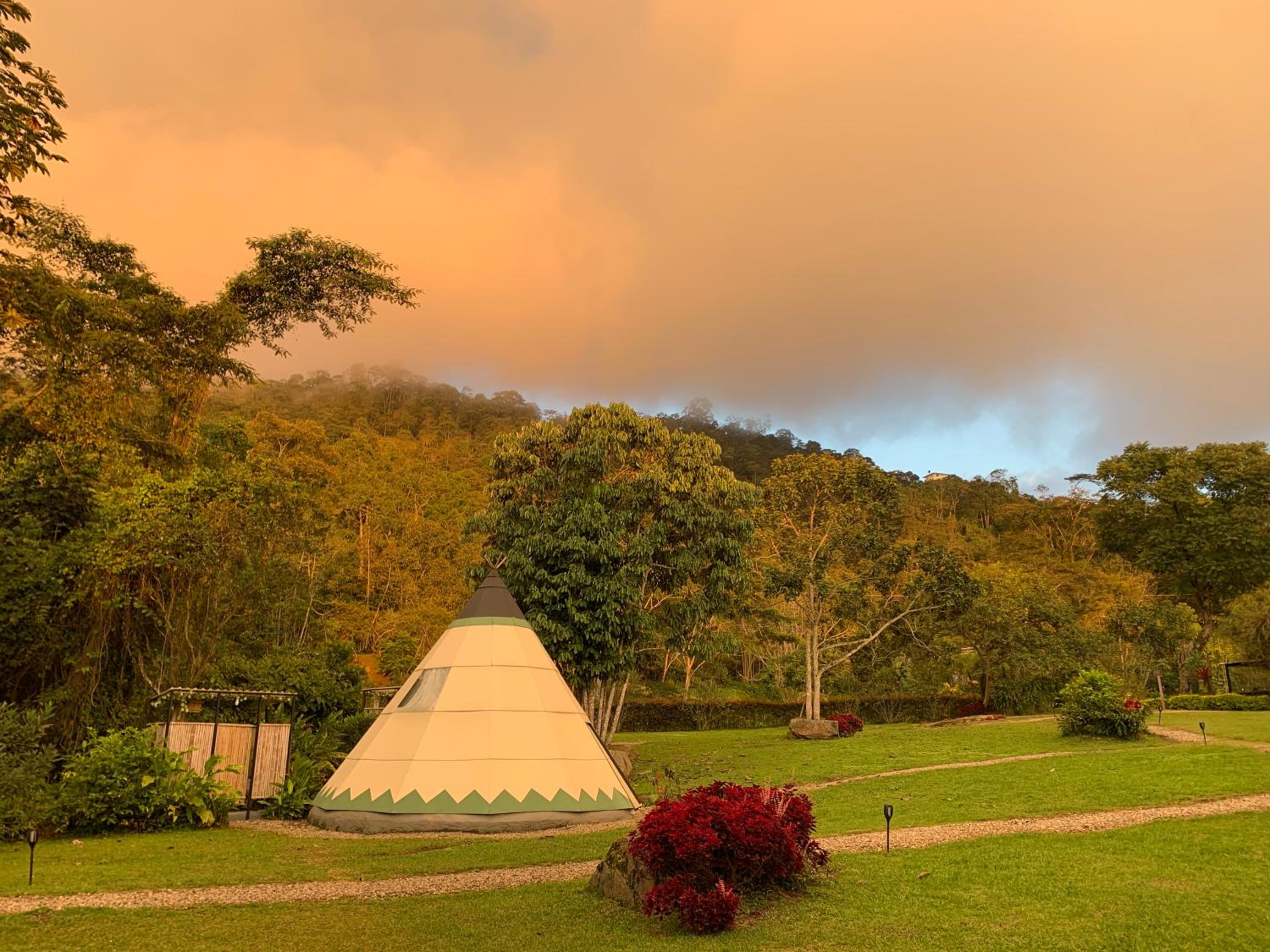 Bosque de Aventura & Glamping El Refugio del Bosque