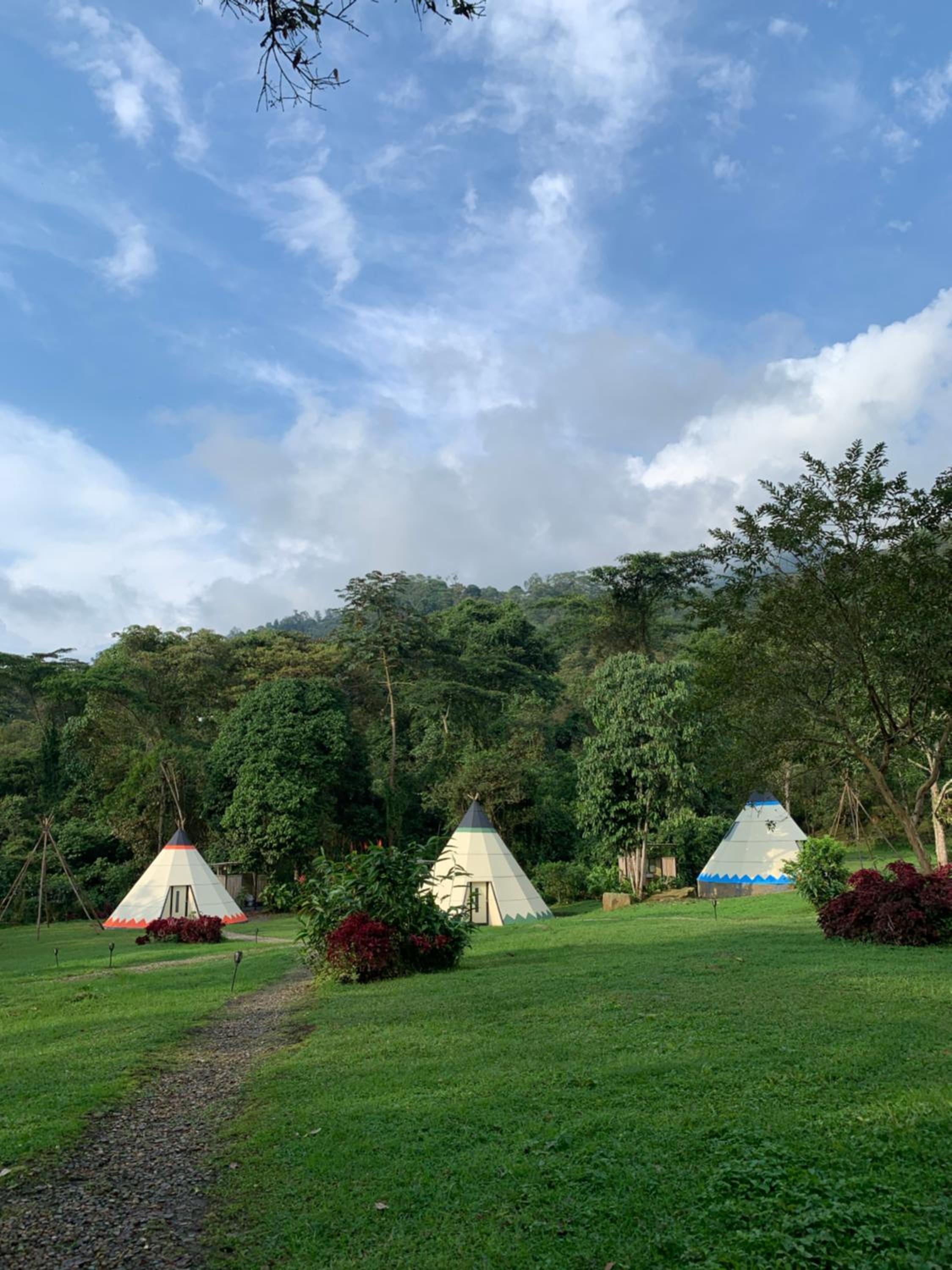 Bosque de Aventura & Glamping El Refugio del Bosque