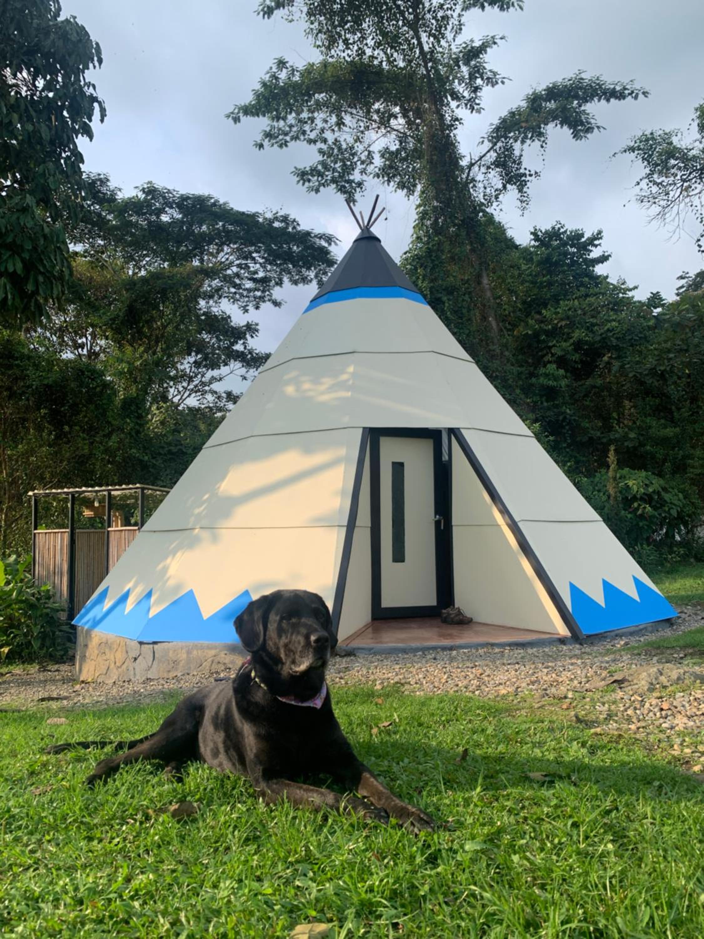 Bosque de Aventura & Glamping El Refugio del Bosque