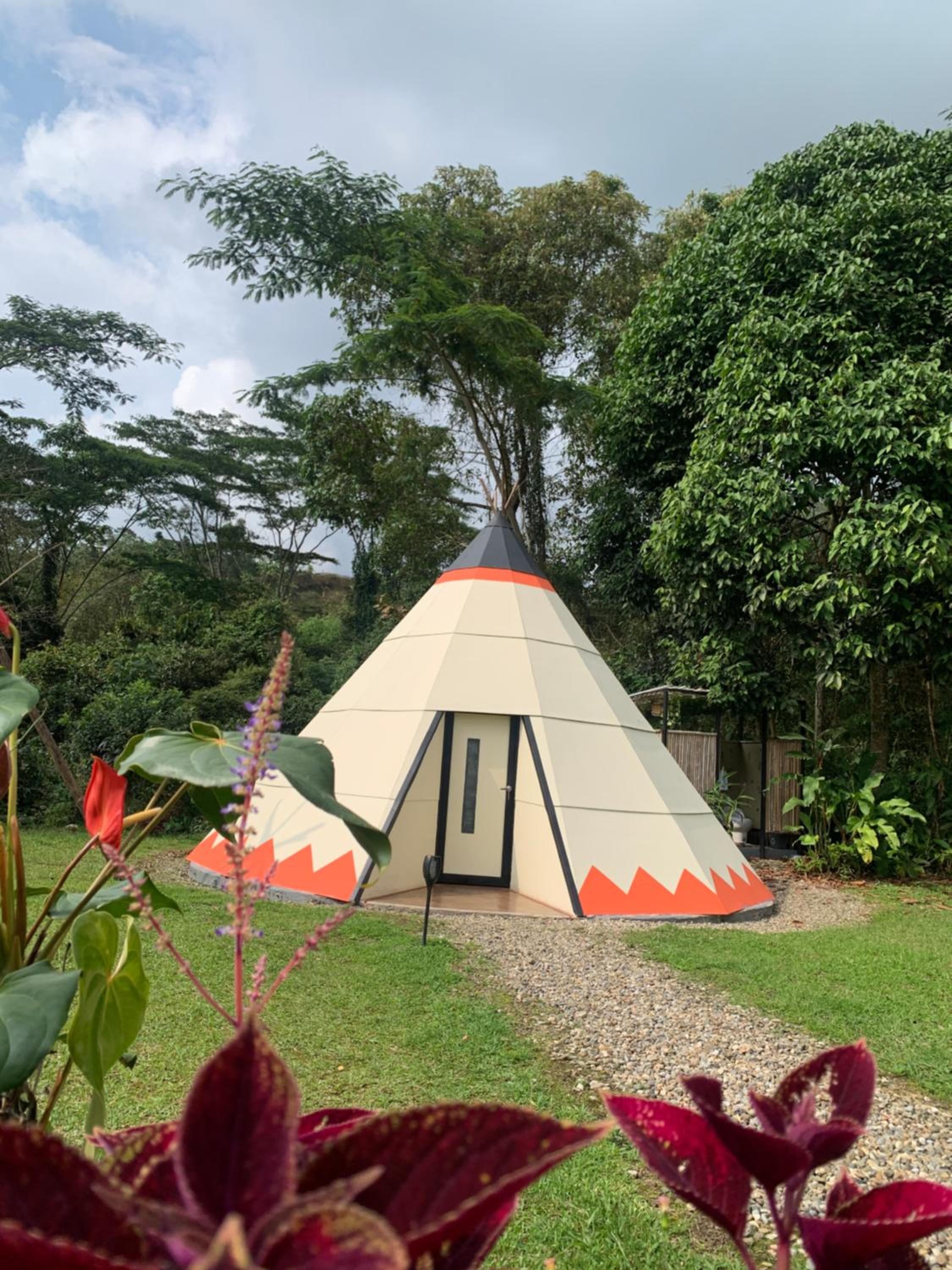 Bosque de Aventura & Glamping El Refugio del Bosque