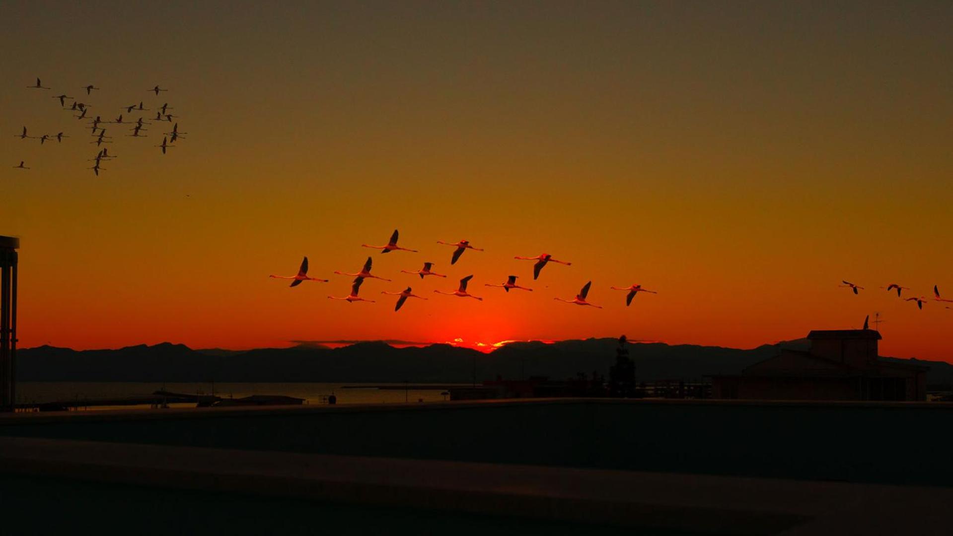 B&B Luce Cagliari