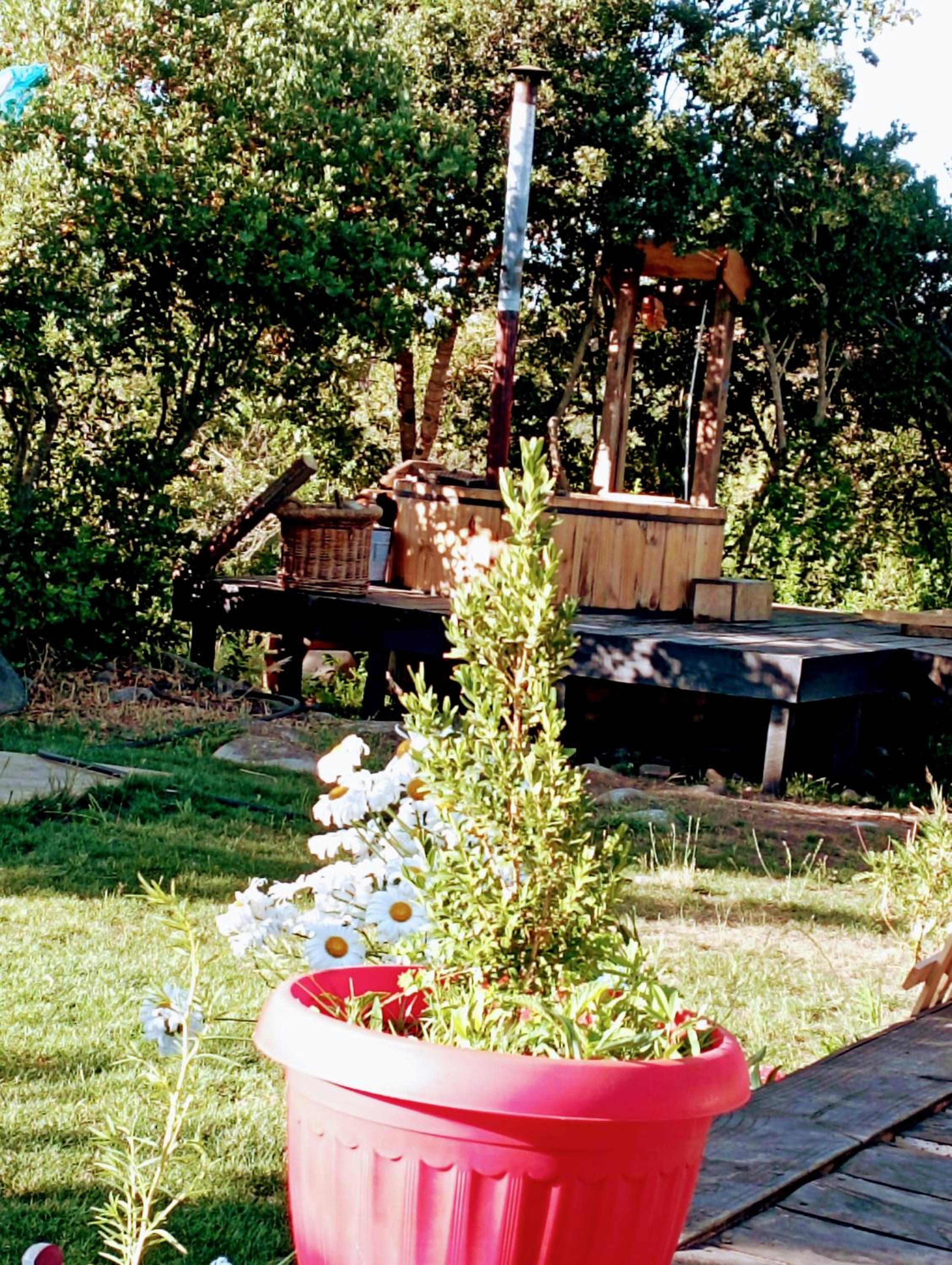 Photo 26