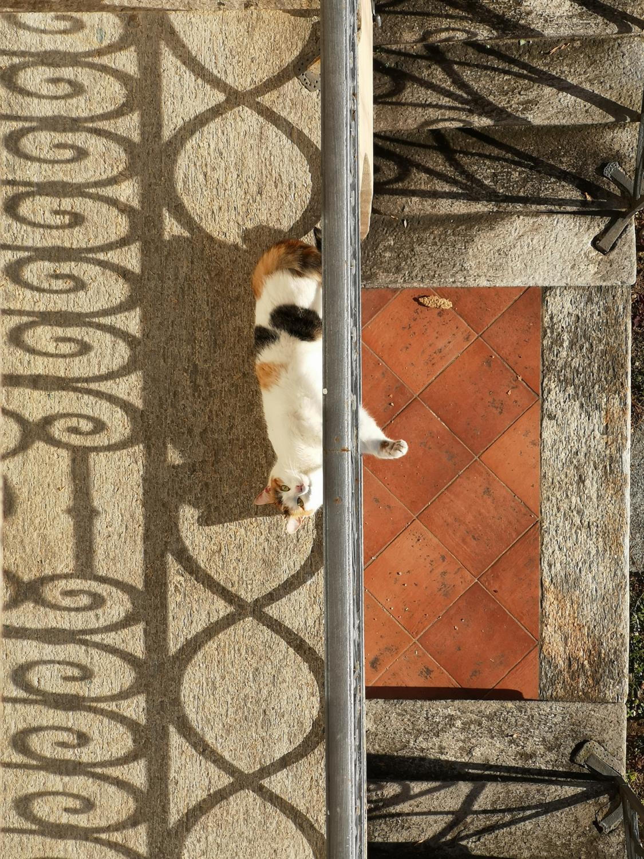 Feluca