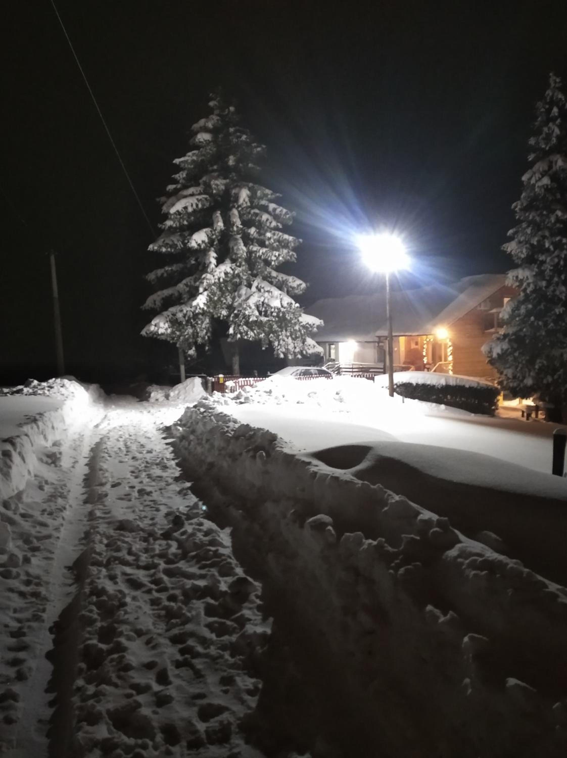 Photo 42