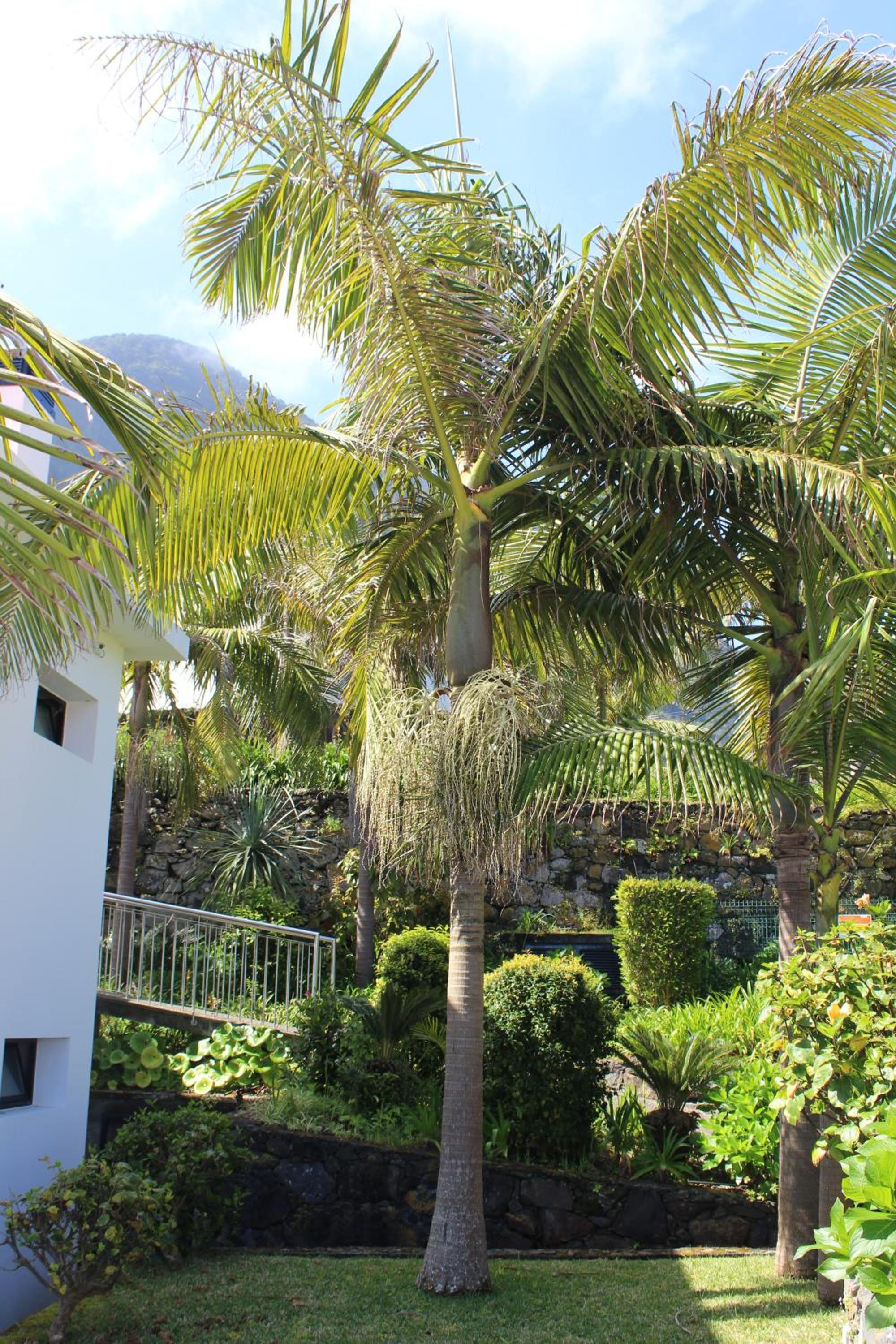 Casa da Capelinha 照片第 106 張,共 109 張