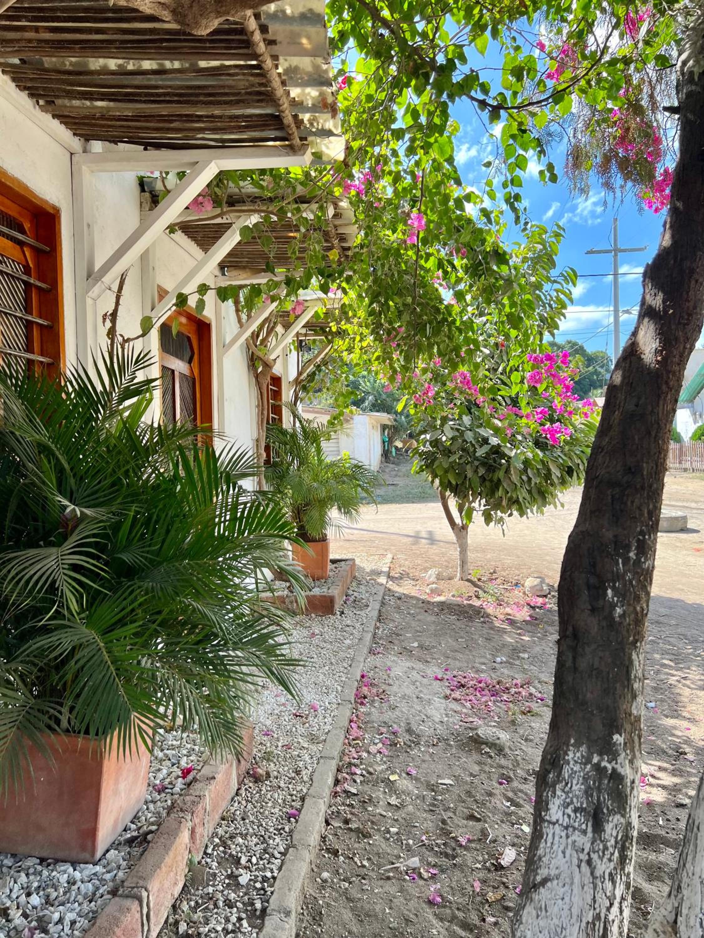 Posada Gallinas view 3