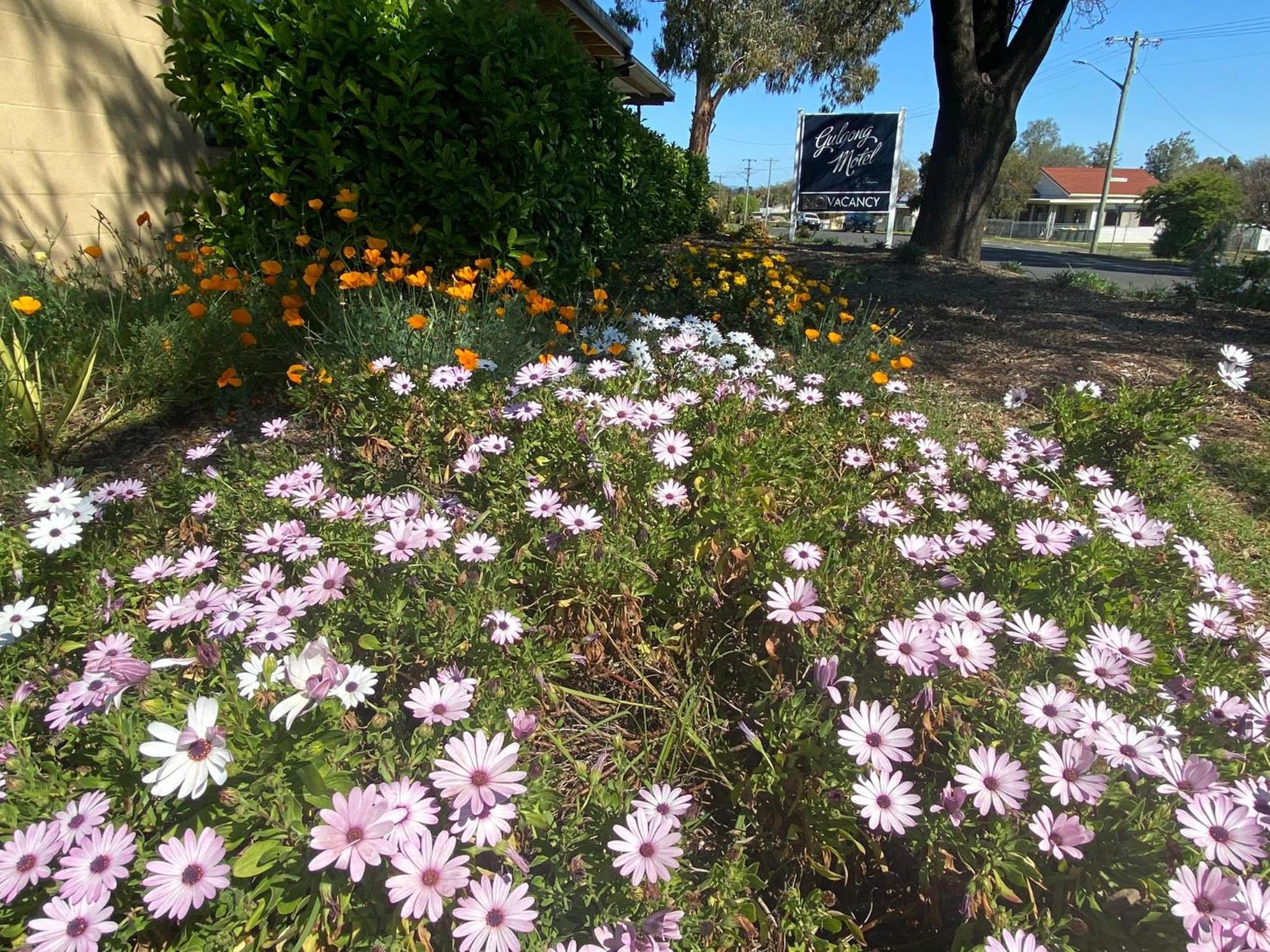 Gulgong Motel