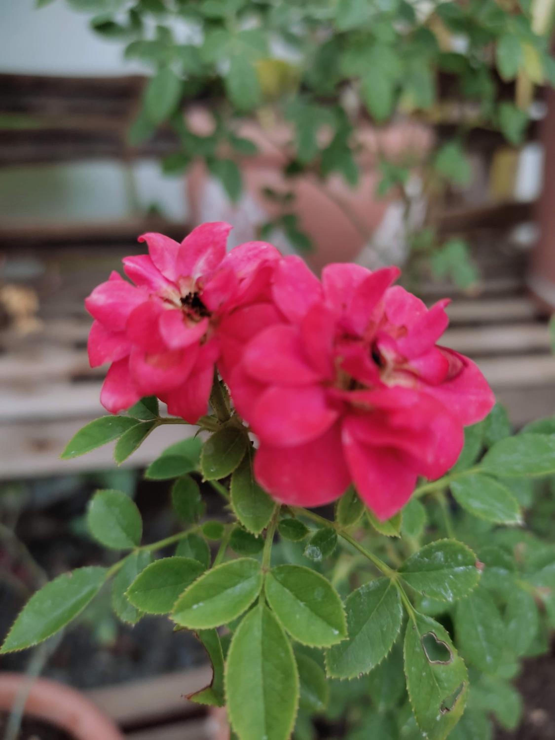 Olana Bed and Breakfast