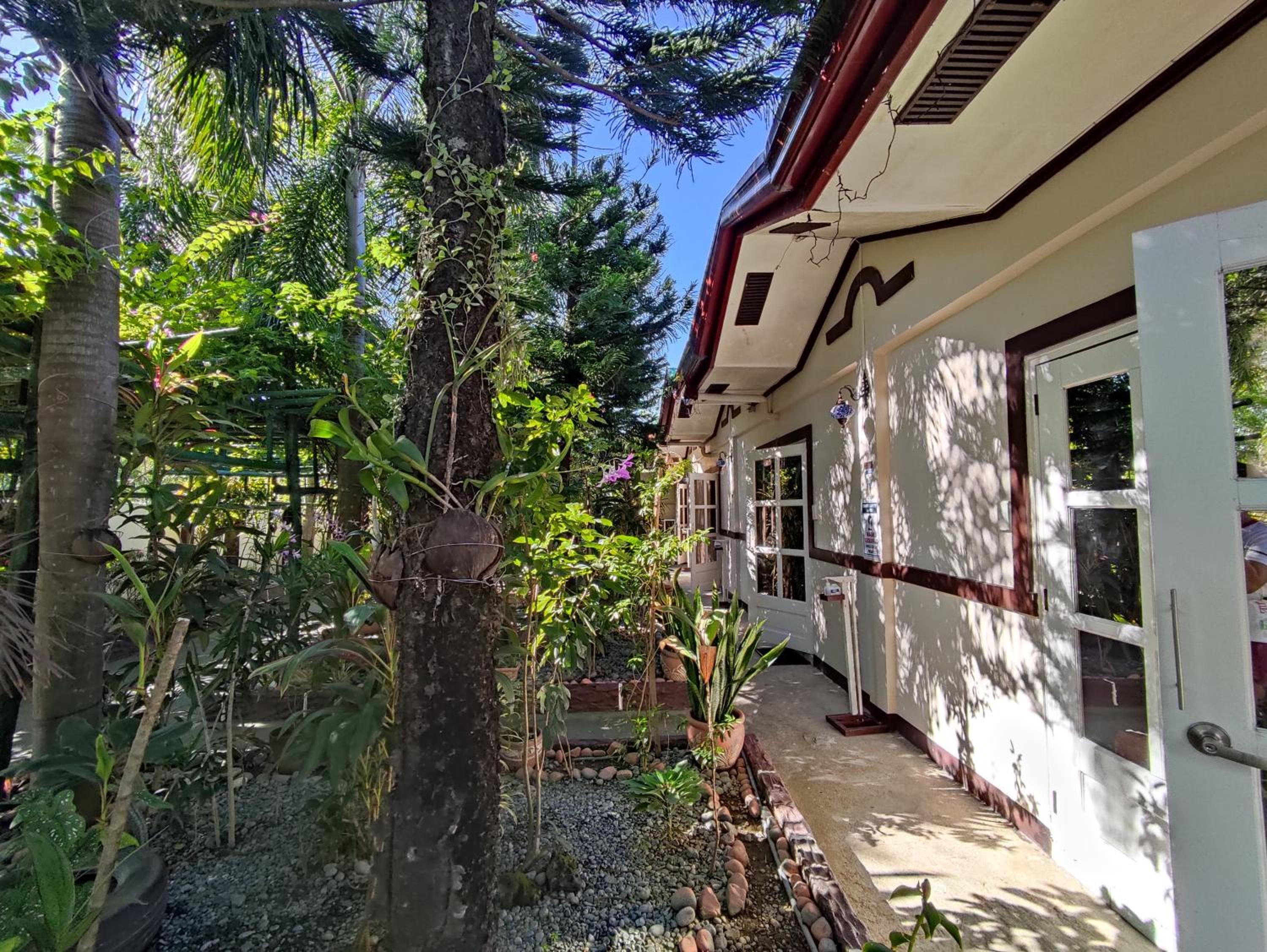 Olana Bed and Breakfast