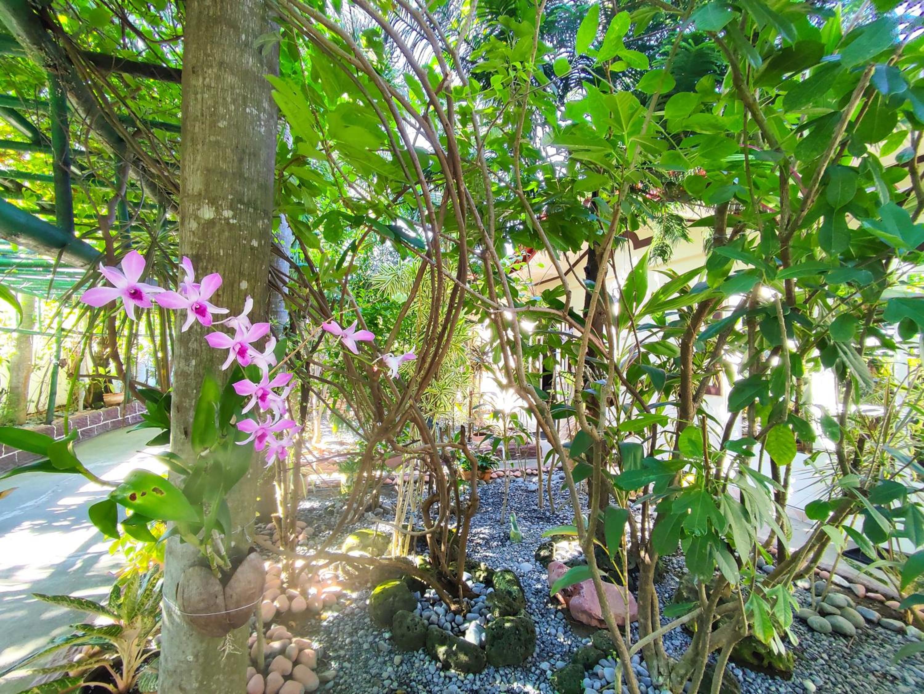 Olana Bed and Breakfast