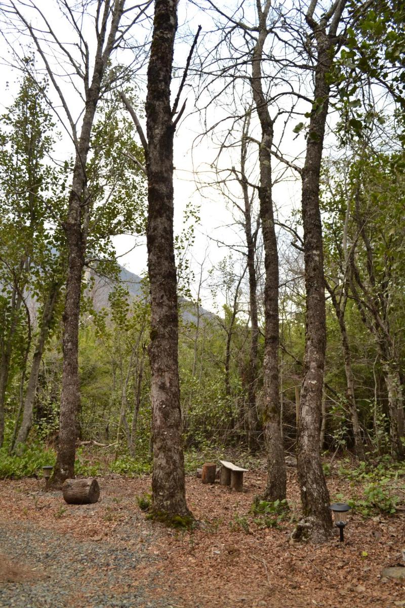 Cabañas Los Cuatro Robles