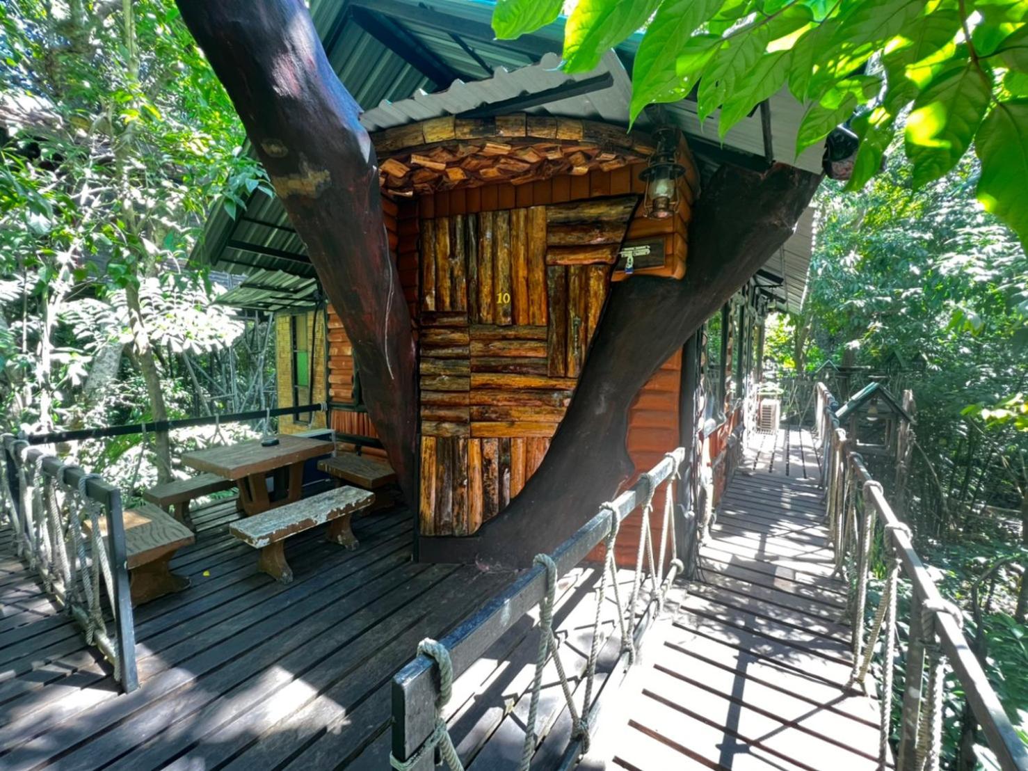 Khao Sok Tree House Resort