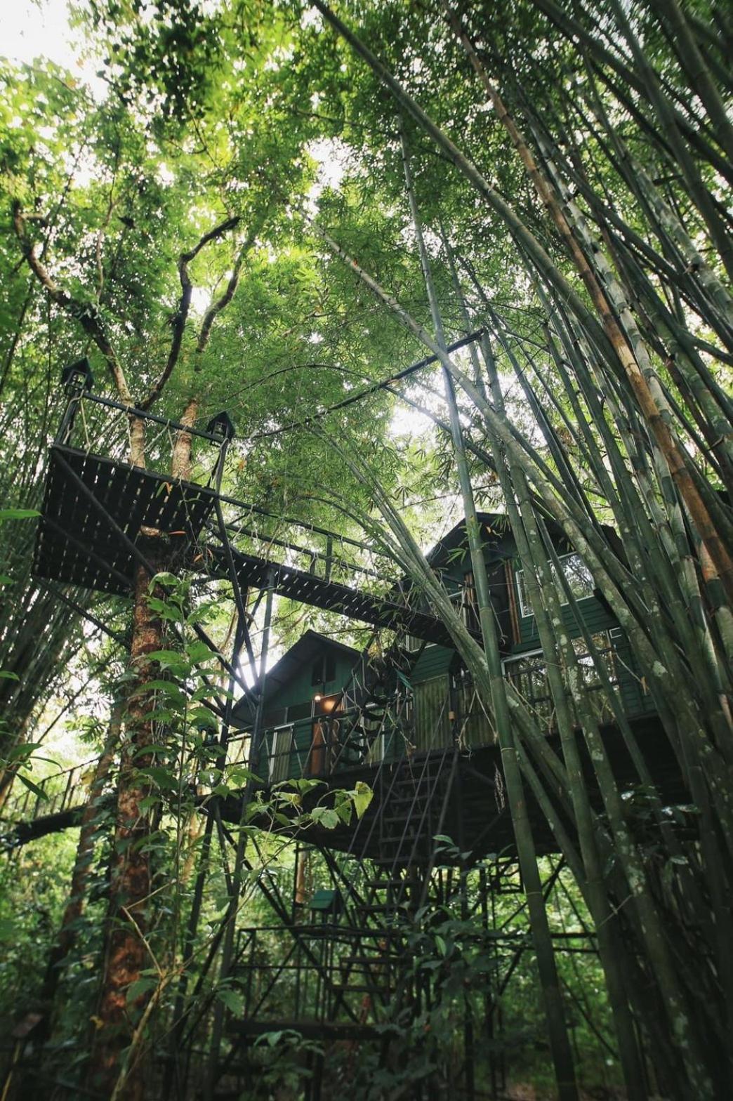 Khao Sok Tree House Resort