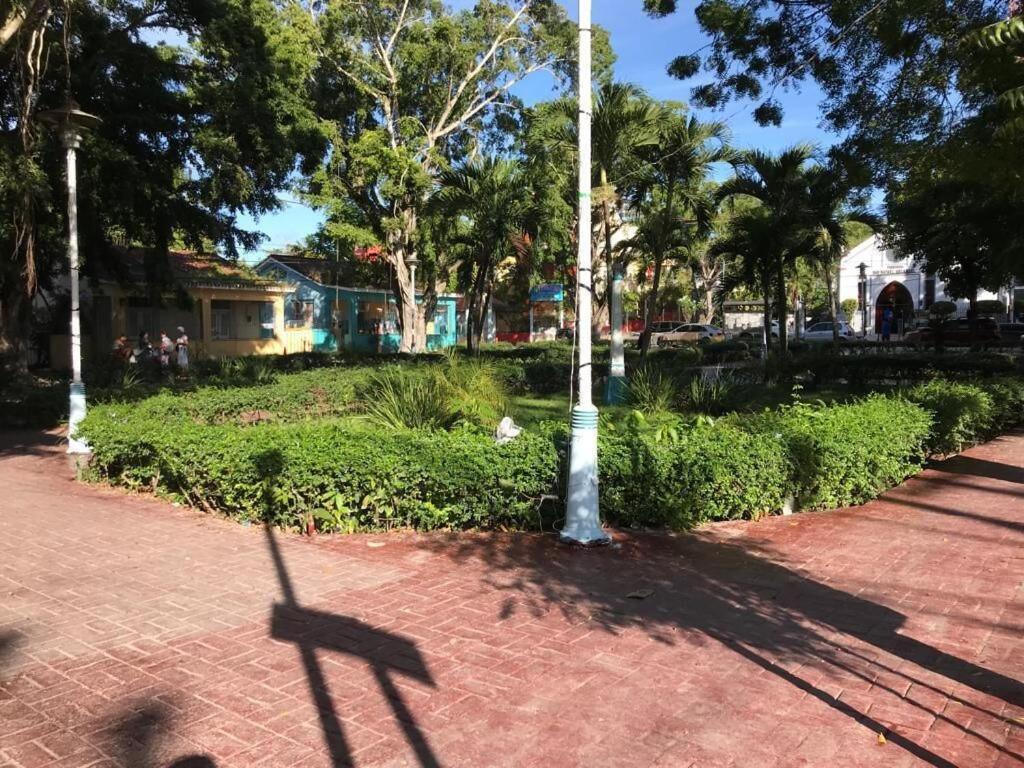 Photo 19