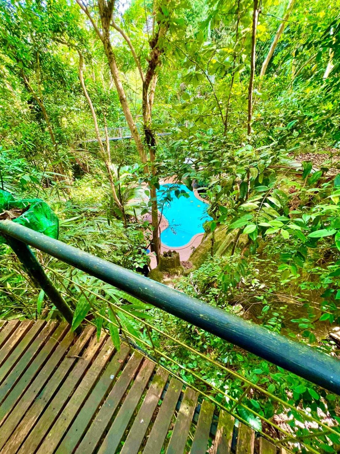 Khao Sok Tree House Resort