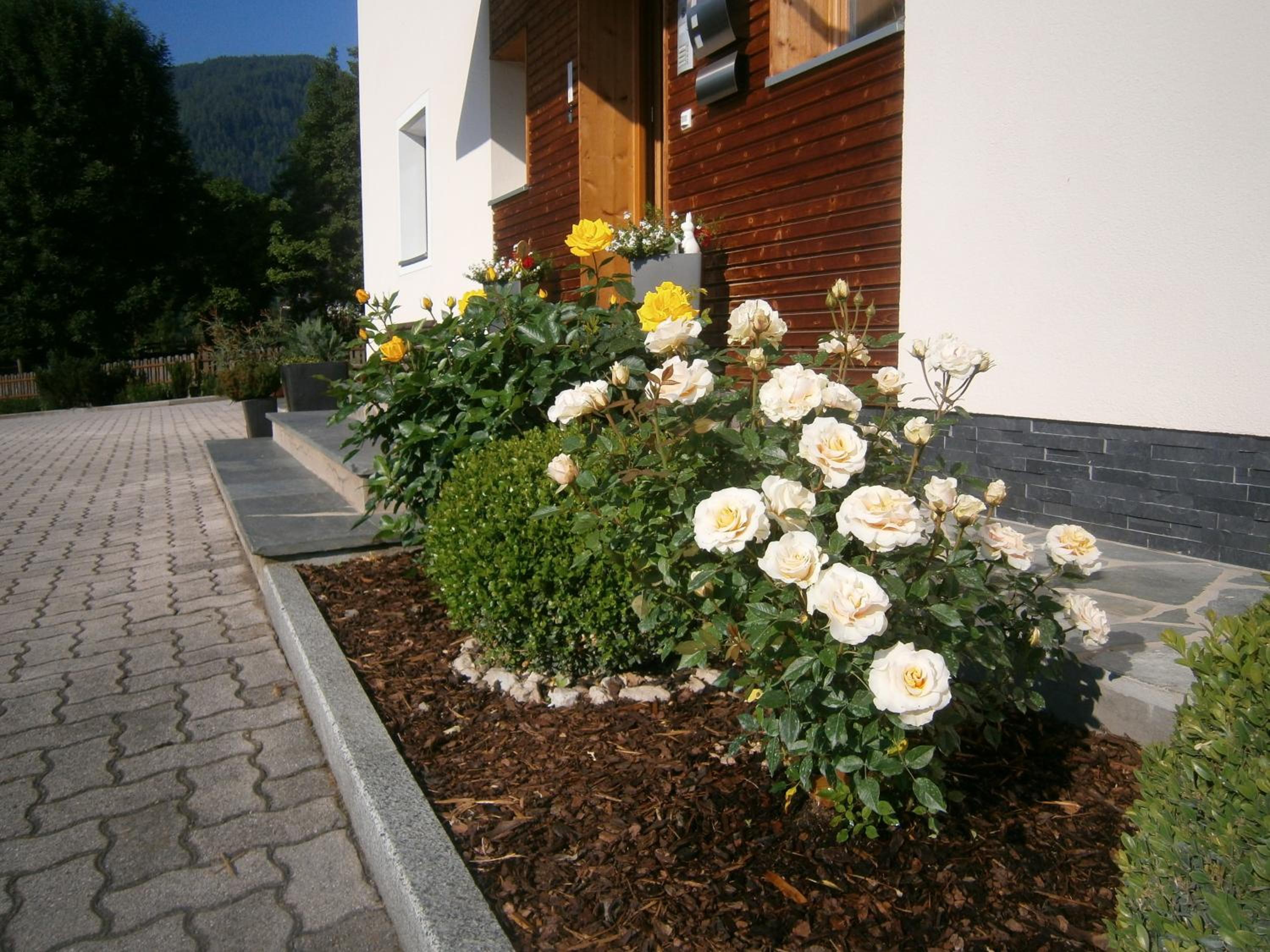 Photo 43