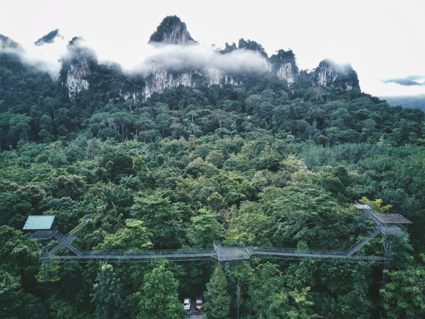 Khao Sok Tree House Resort