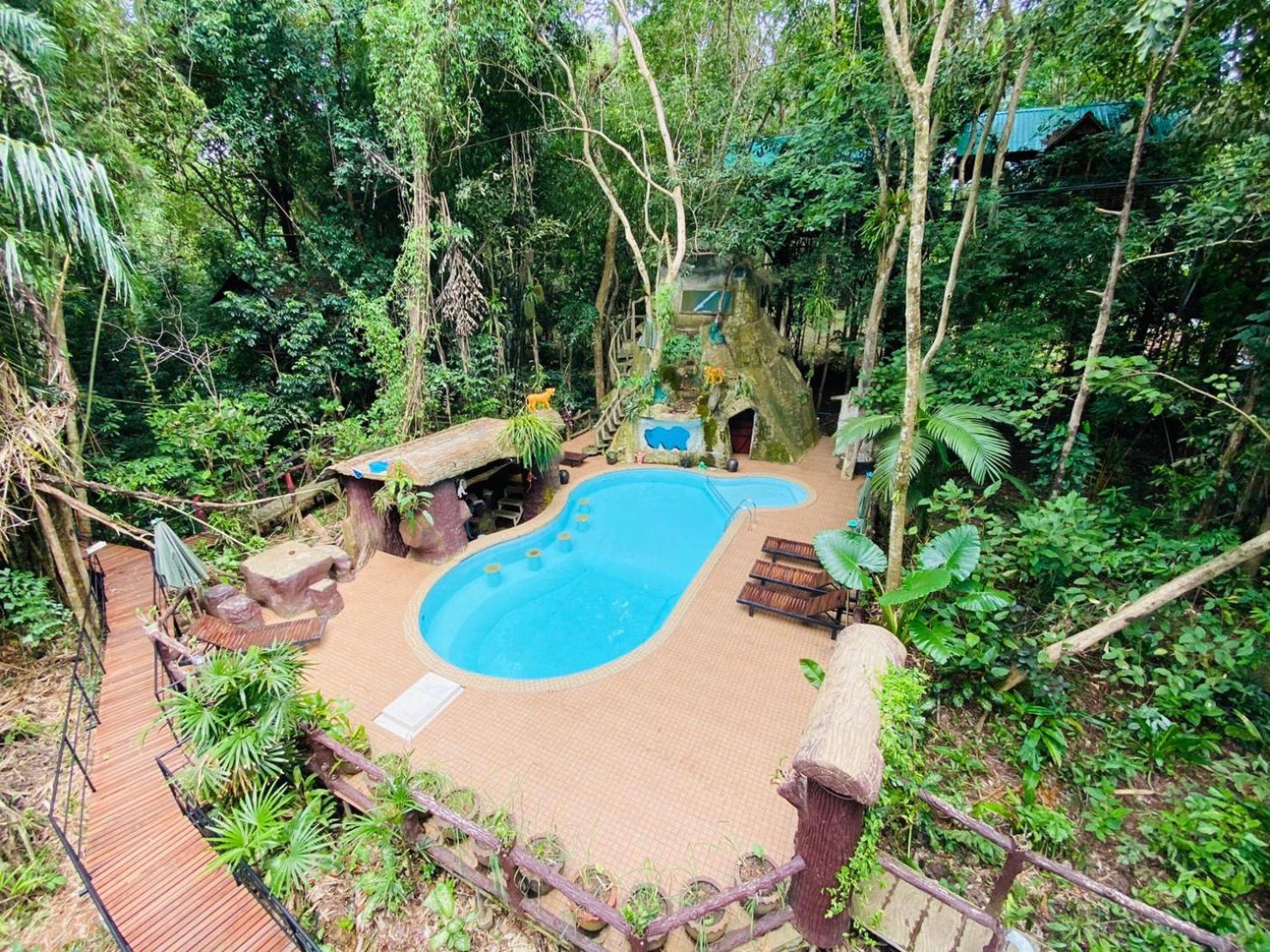 Khao Sok Tree House Resort