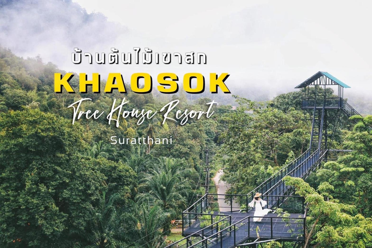 Khao Sok Tree House Resort