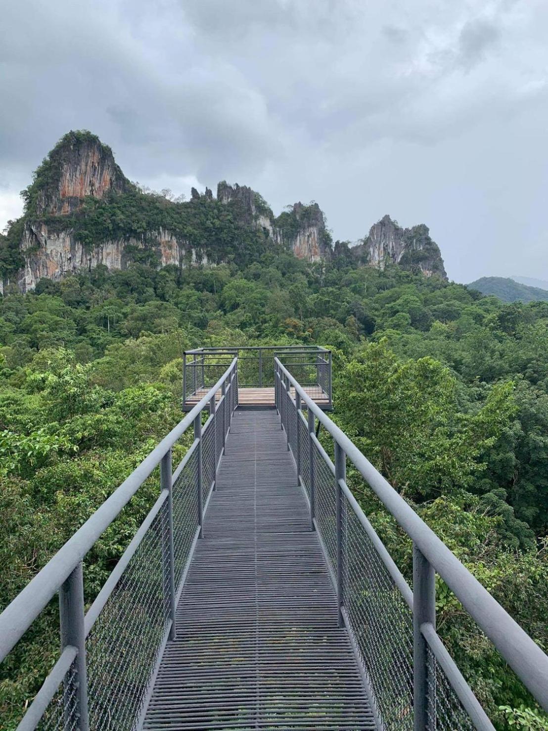 Khao Sok Tree House Resort