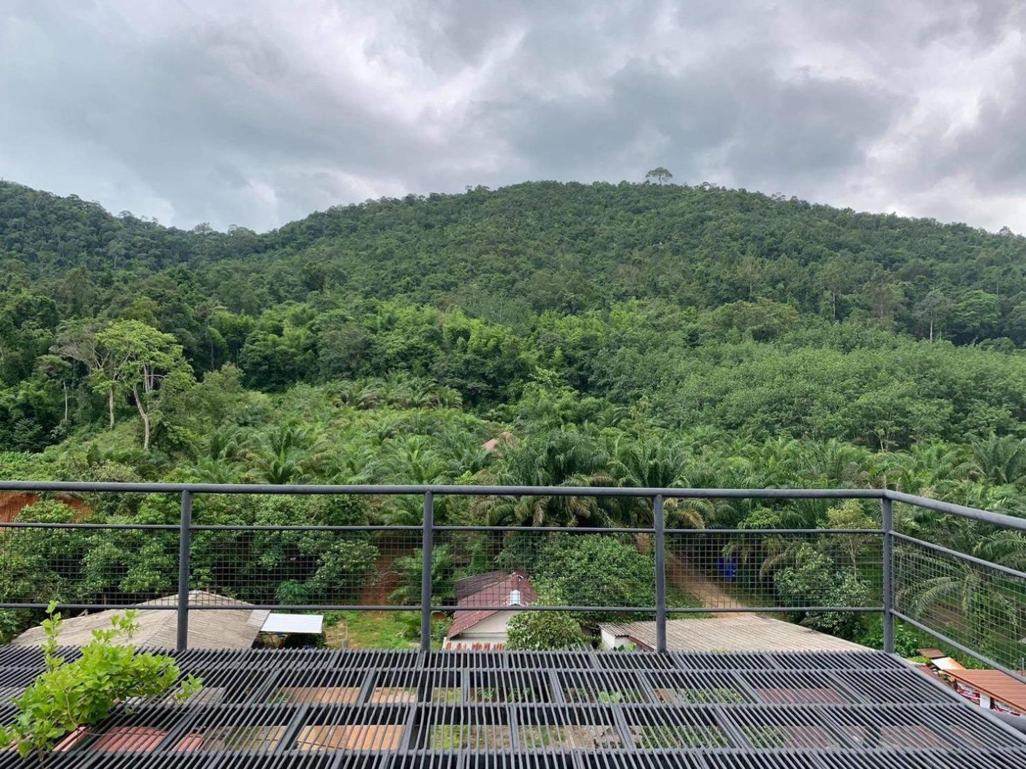 Khao Sok Tree House Resort