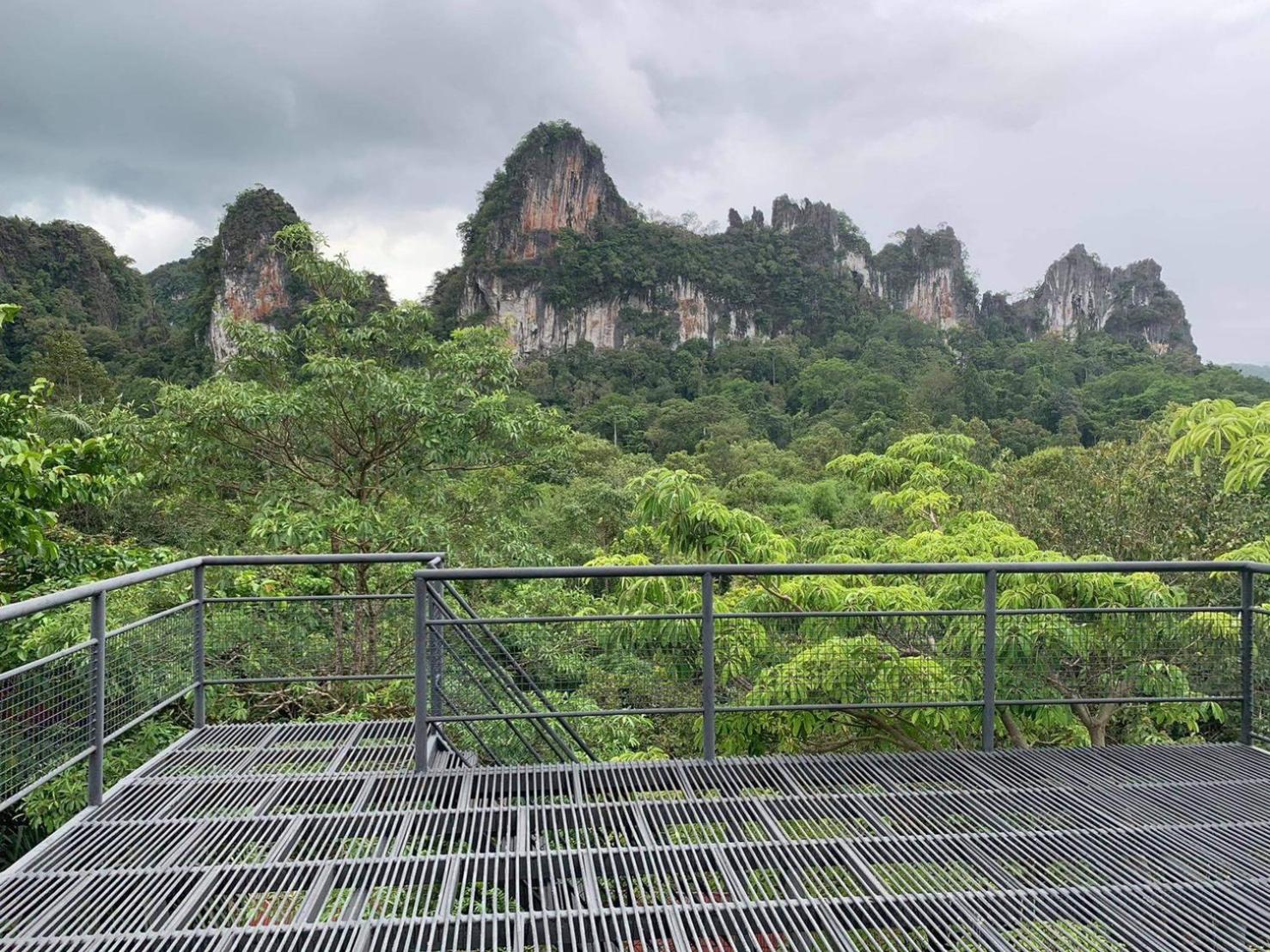 Khao Sok Tree House Resort
