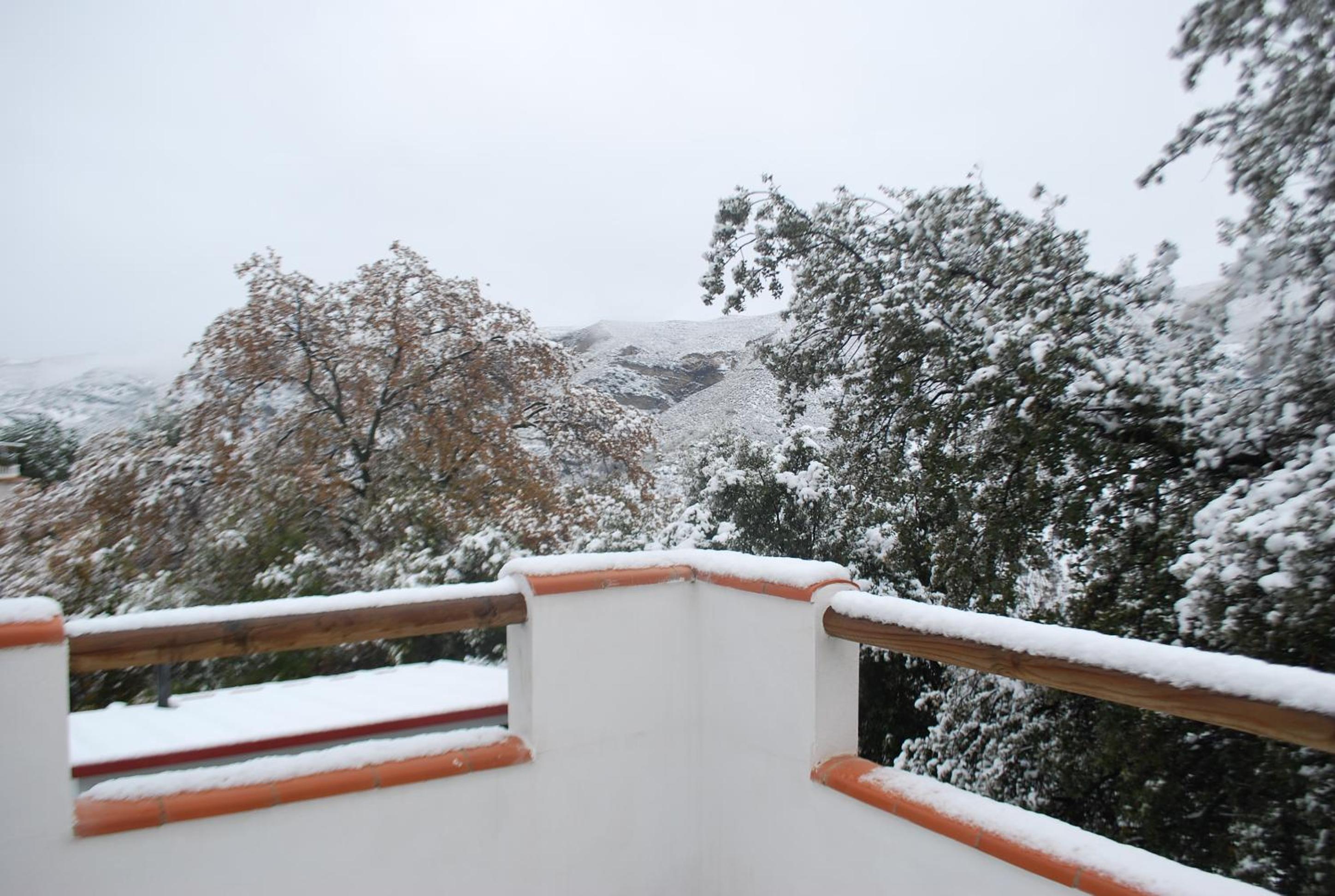 Photo 40