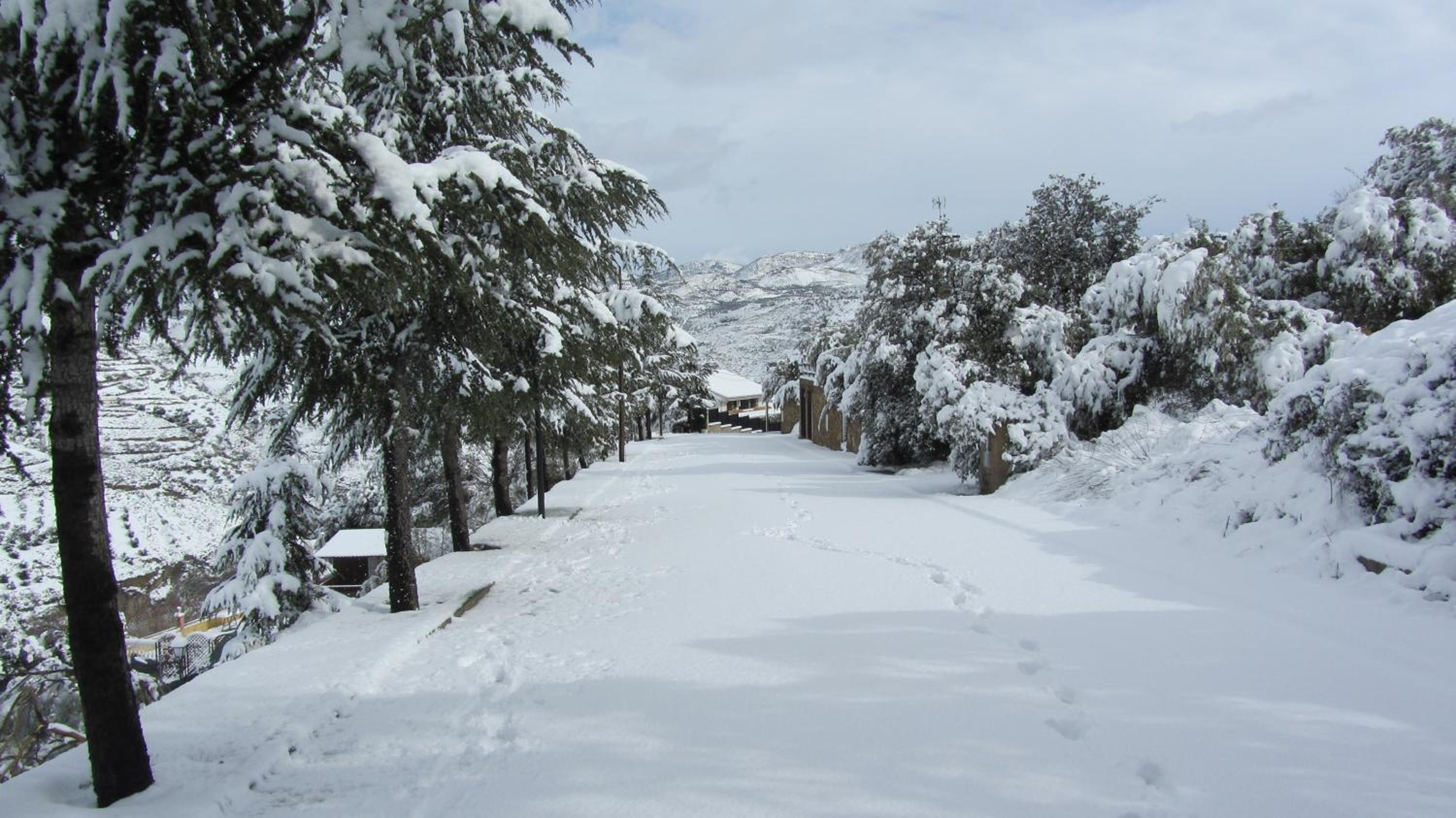 Photo 41
