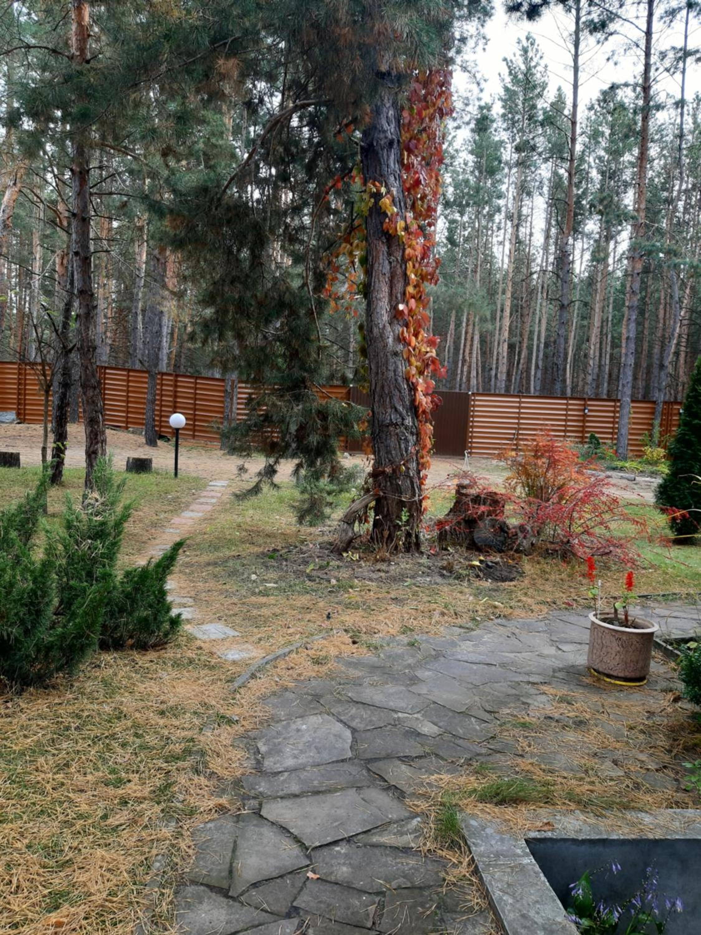 Photo 17