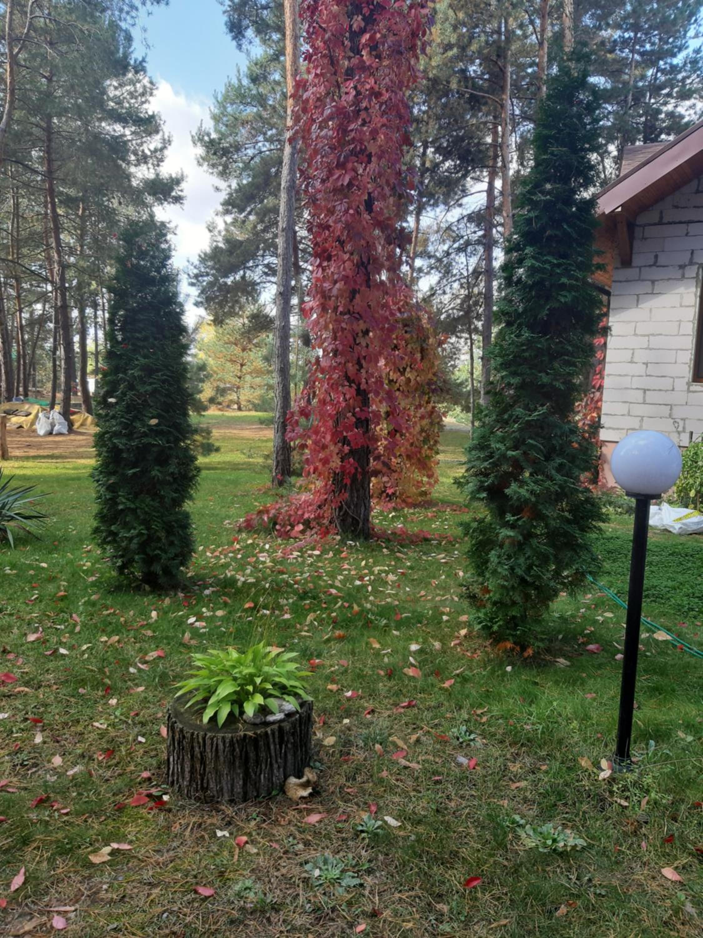 Photo 8