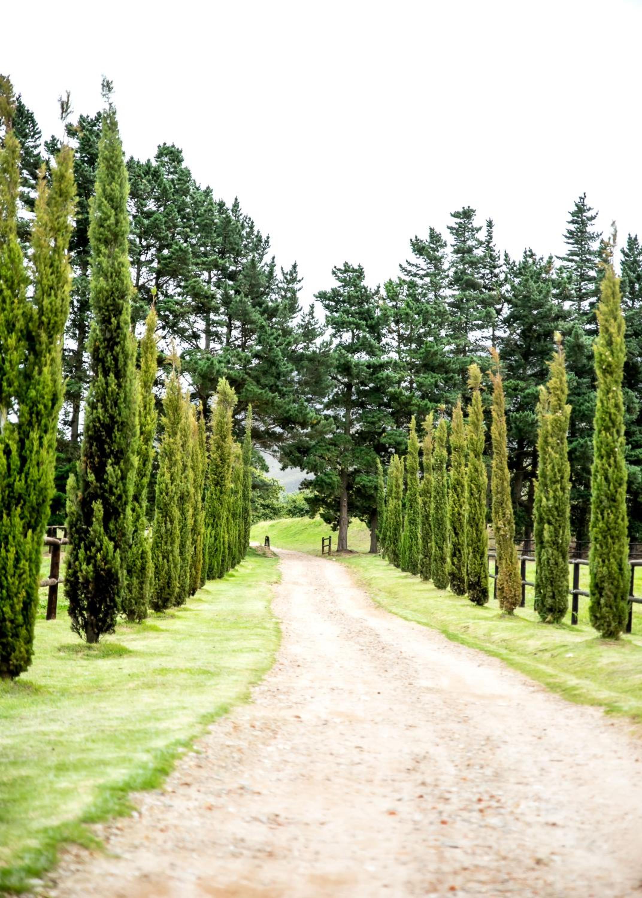 Hemel 'N Aarde Stud view 2