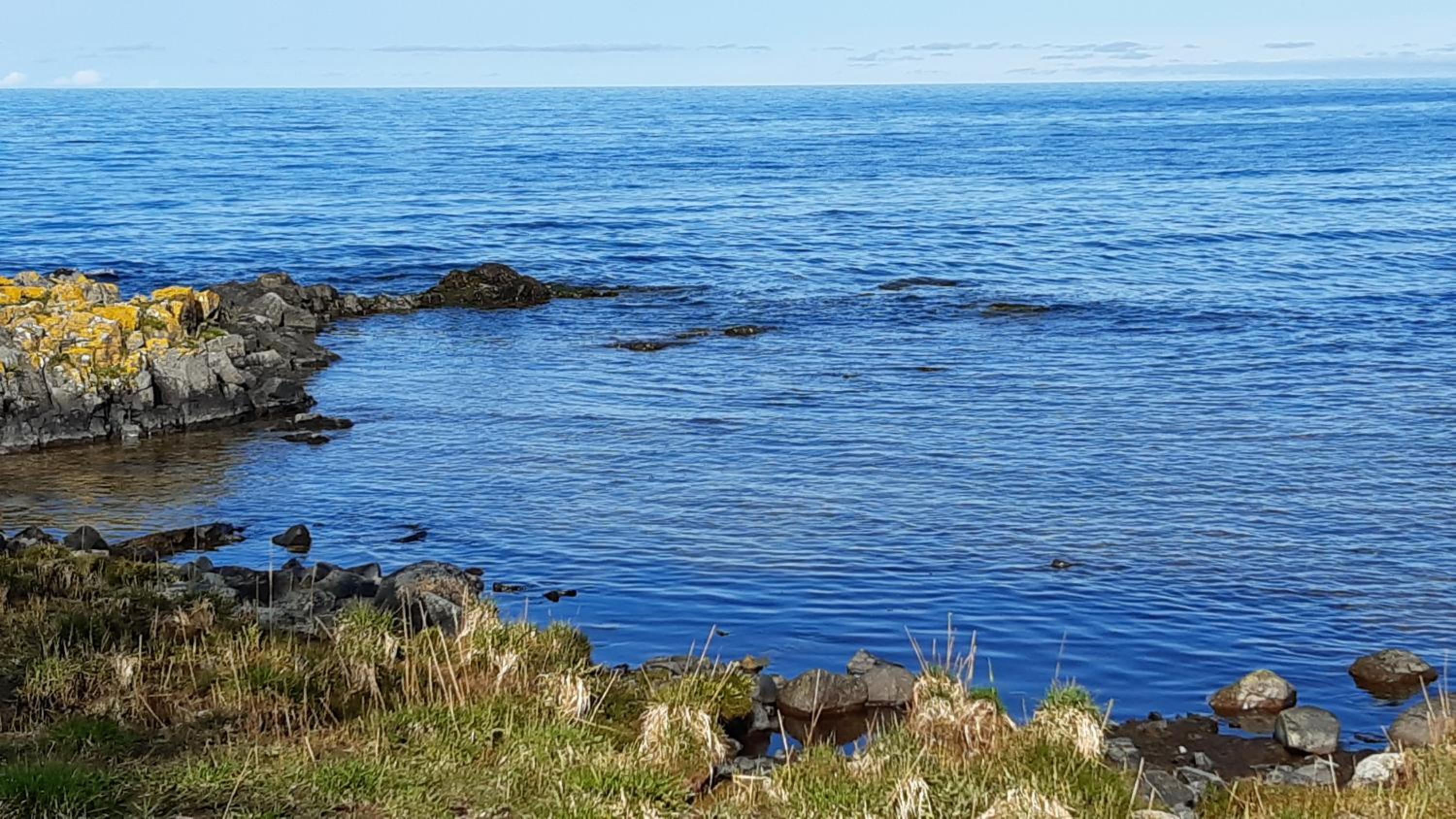 Guldkustens Gästhus - Österlen, Kivik view 2