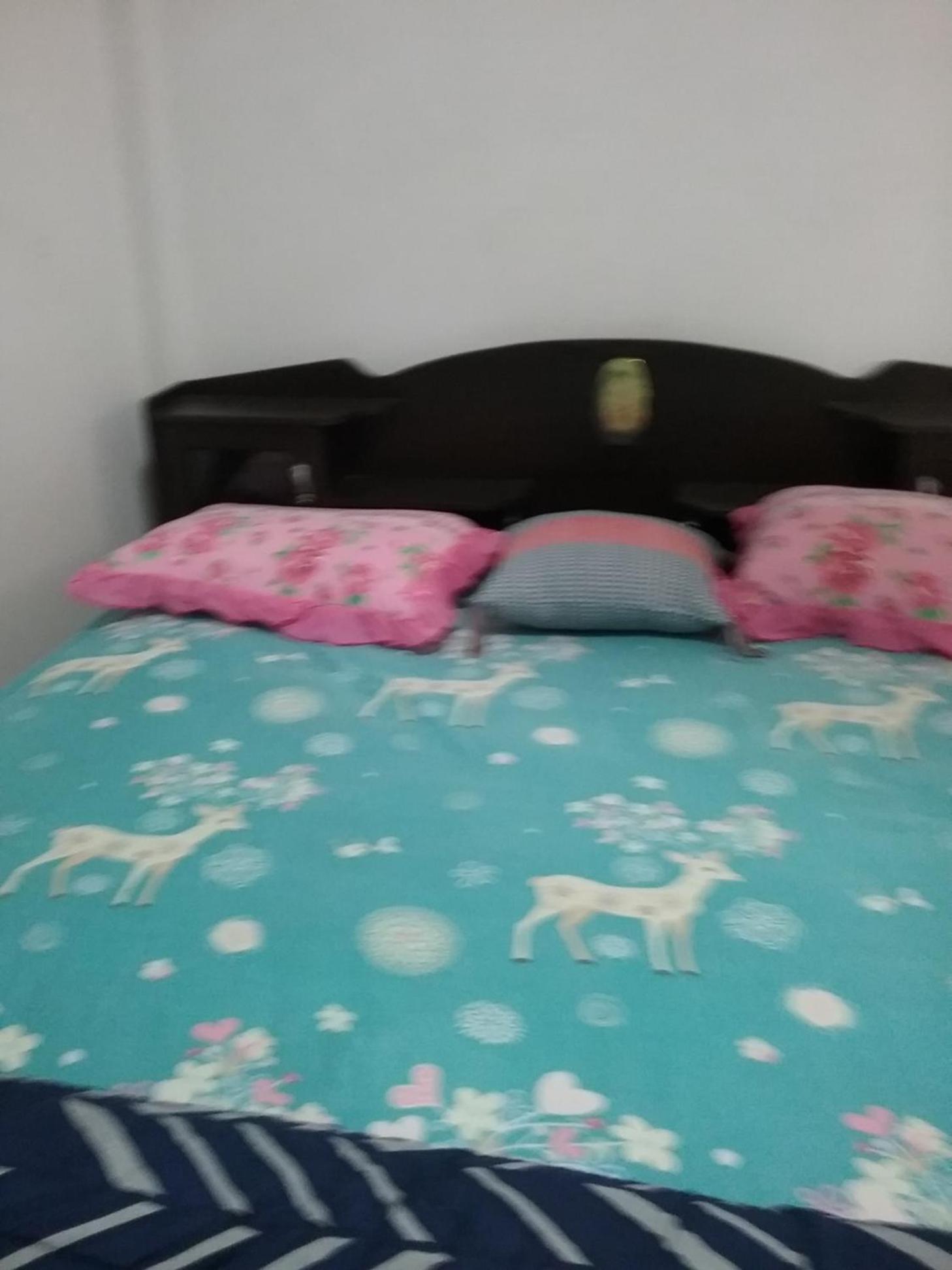 Danee Hostel