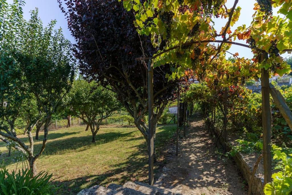 Quinta de Villa Franca - Douro view 3