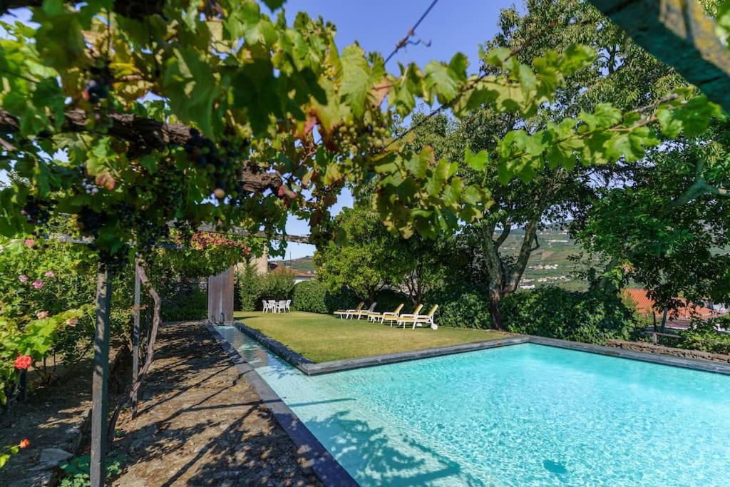 Quinta de Villa Franca - Douro view 5