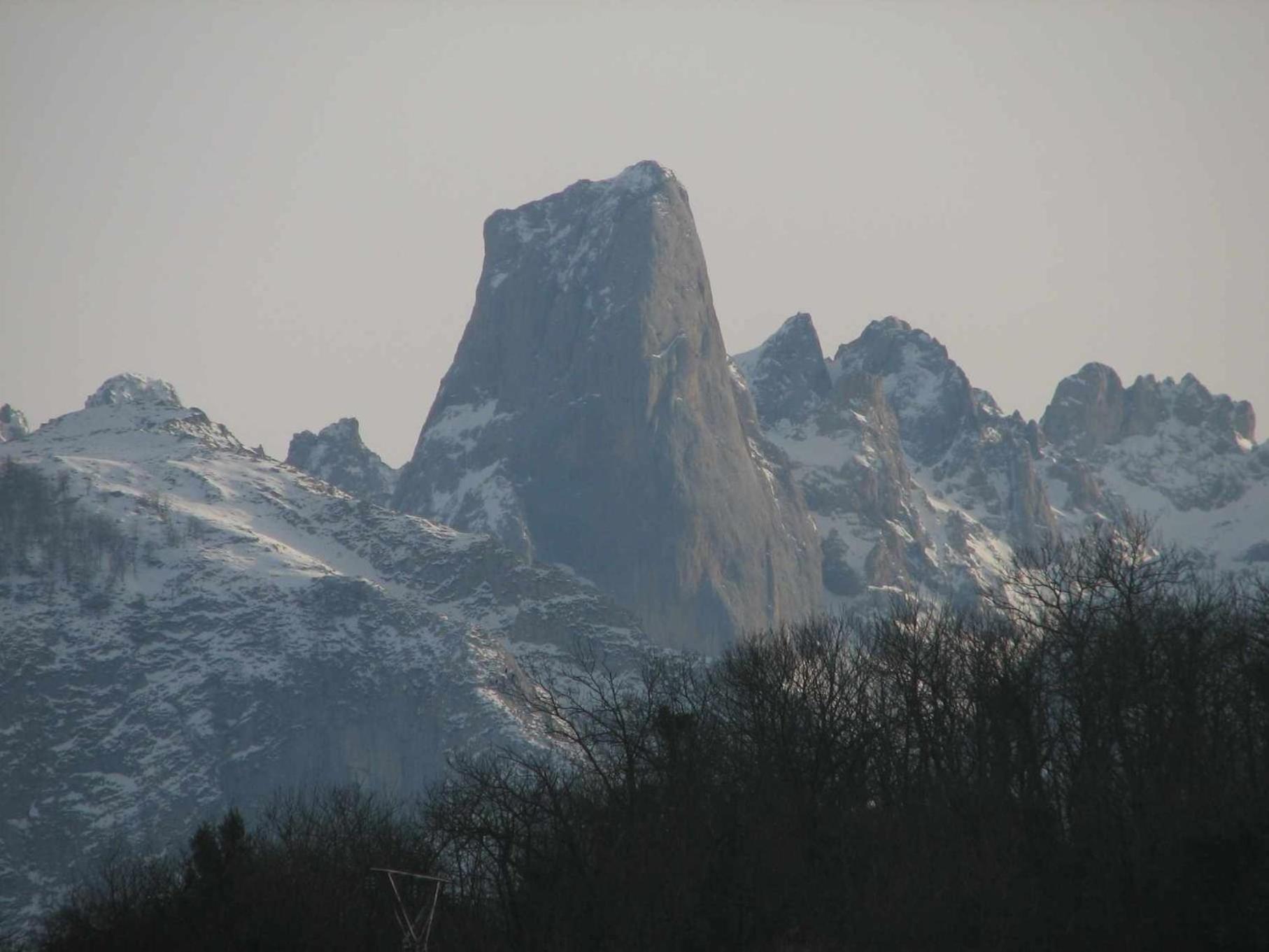 Photo 35