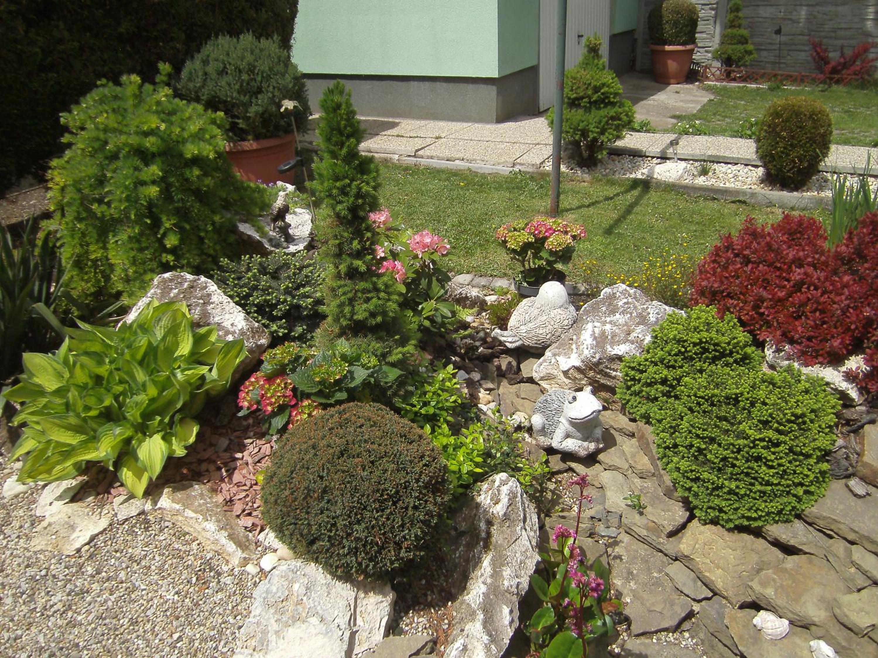 Photo 36