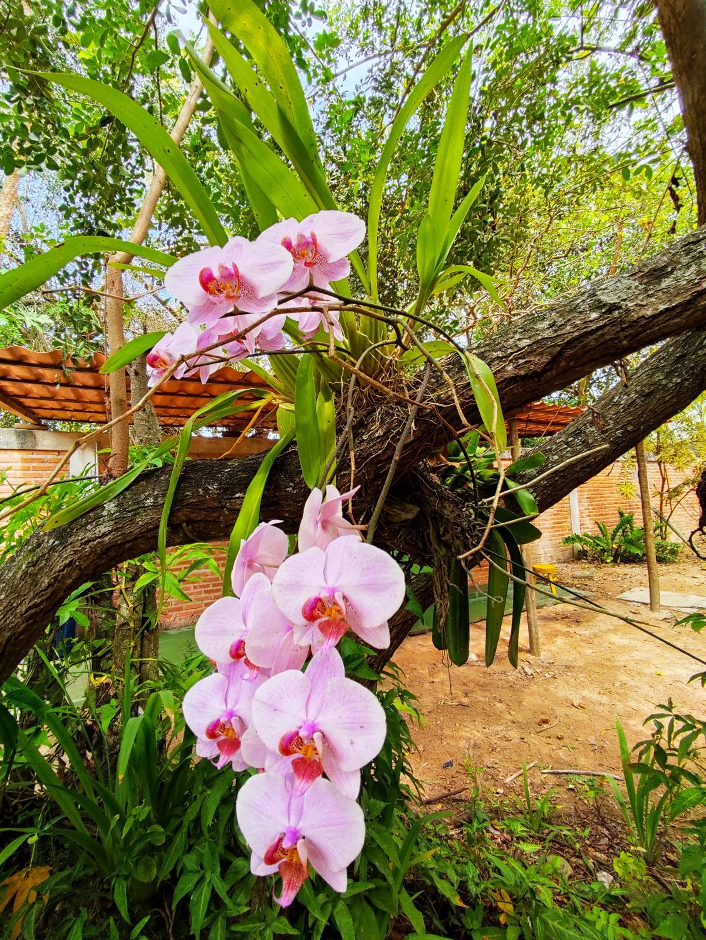 Linda Casa para Temporada em Manguinhos