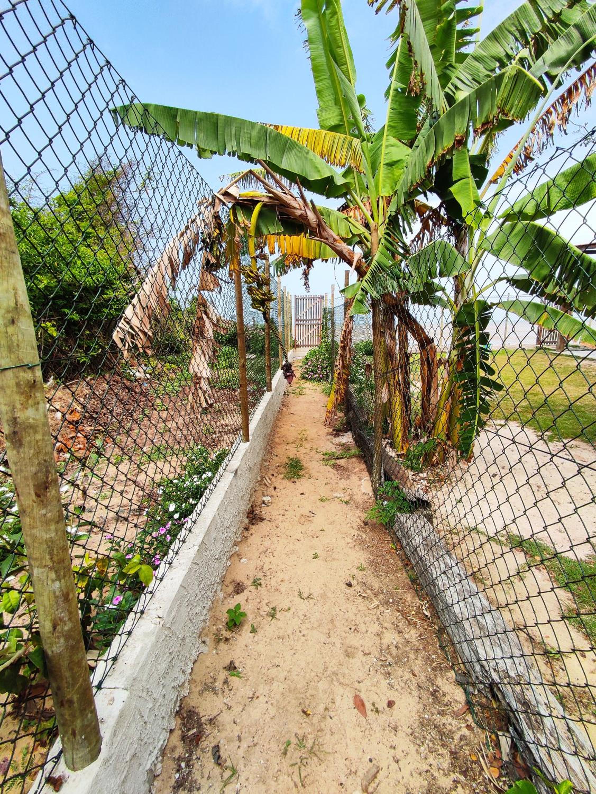 Linda Casa para Temporada em Manguinhos