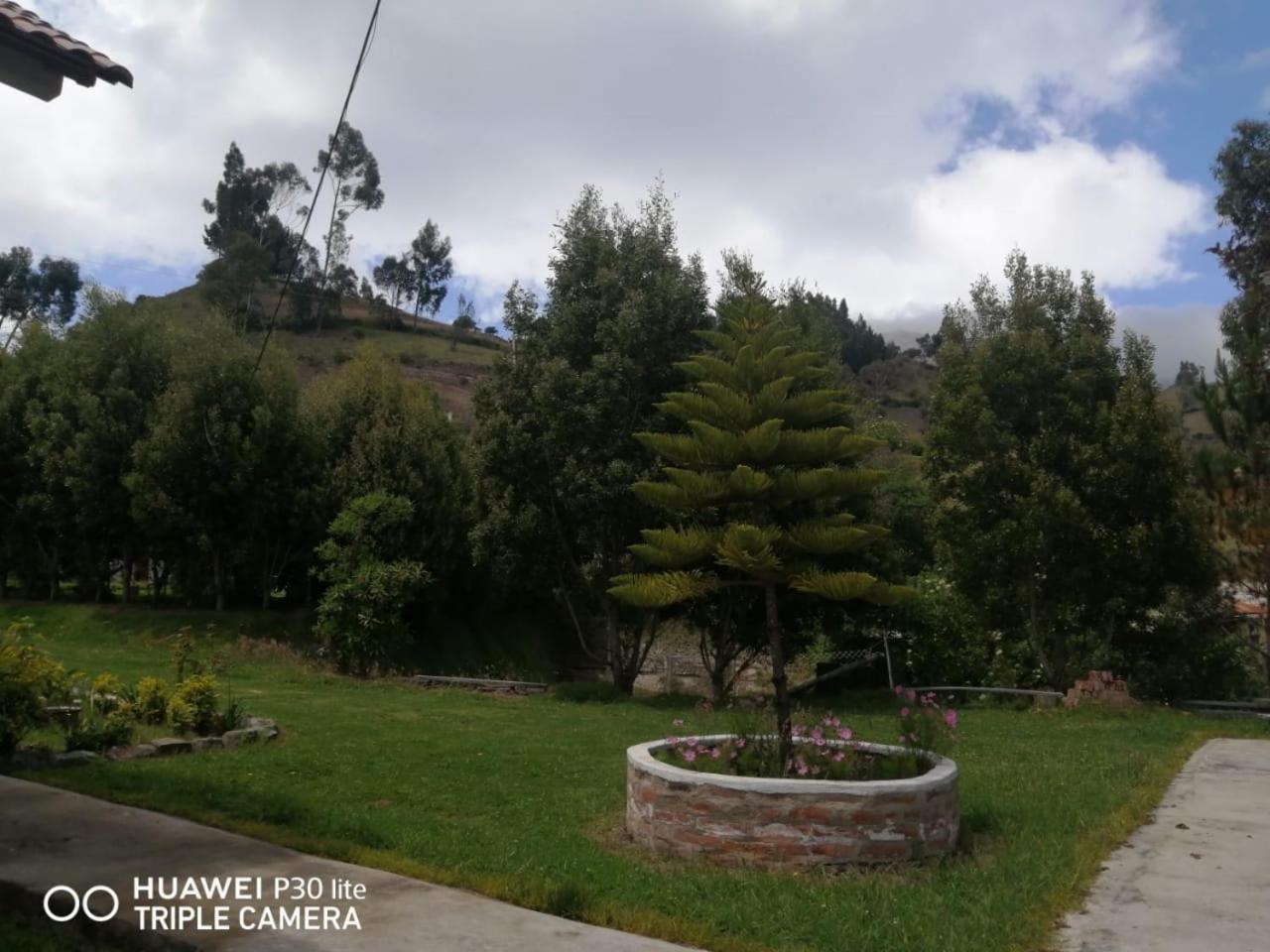 Photo 42