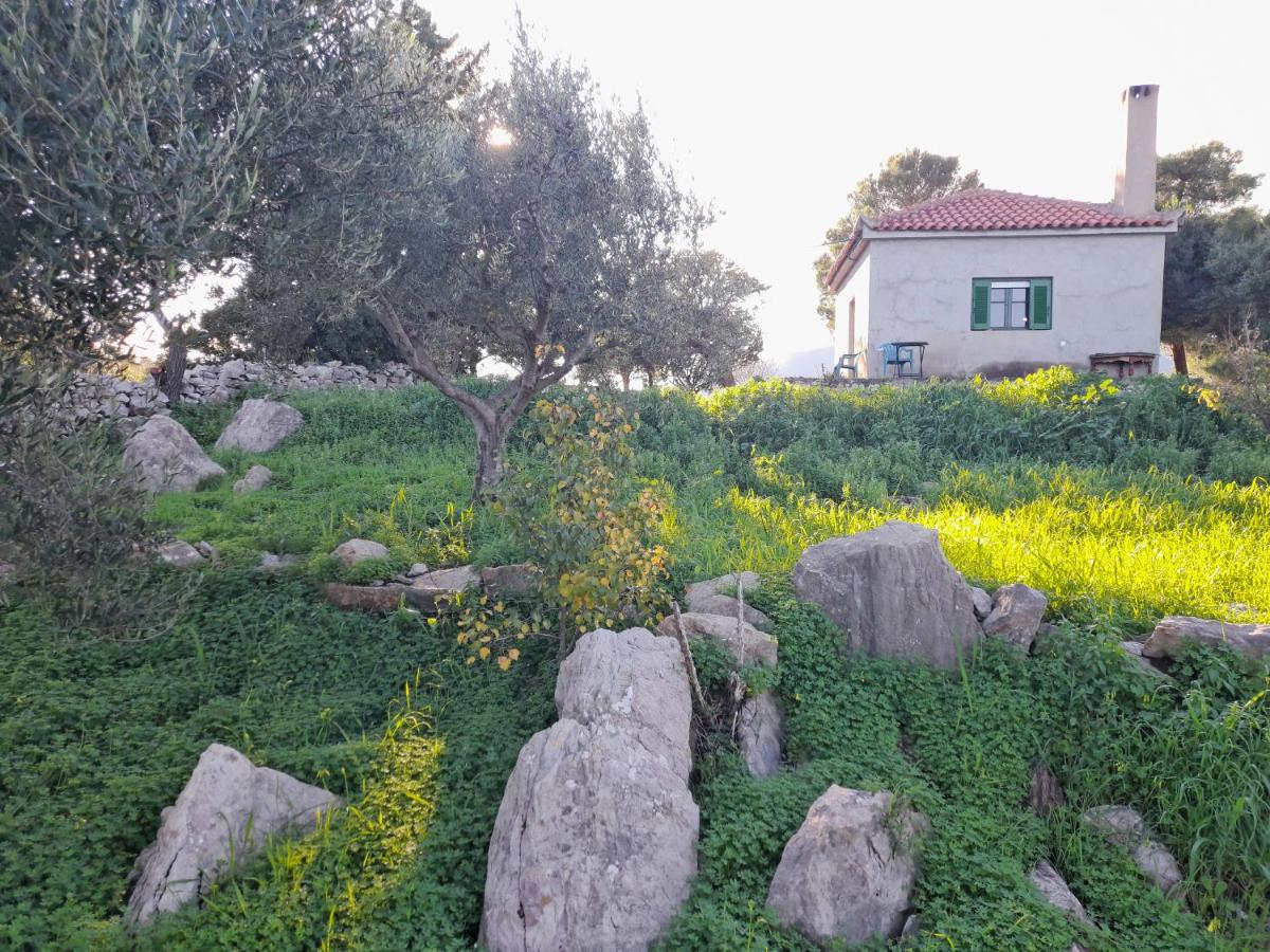 Lakoules photo 5