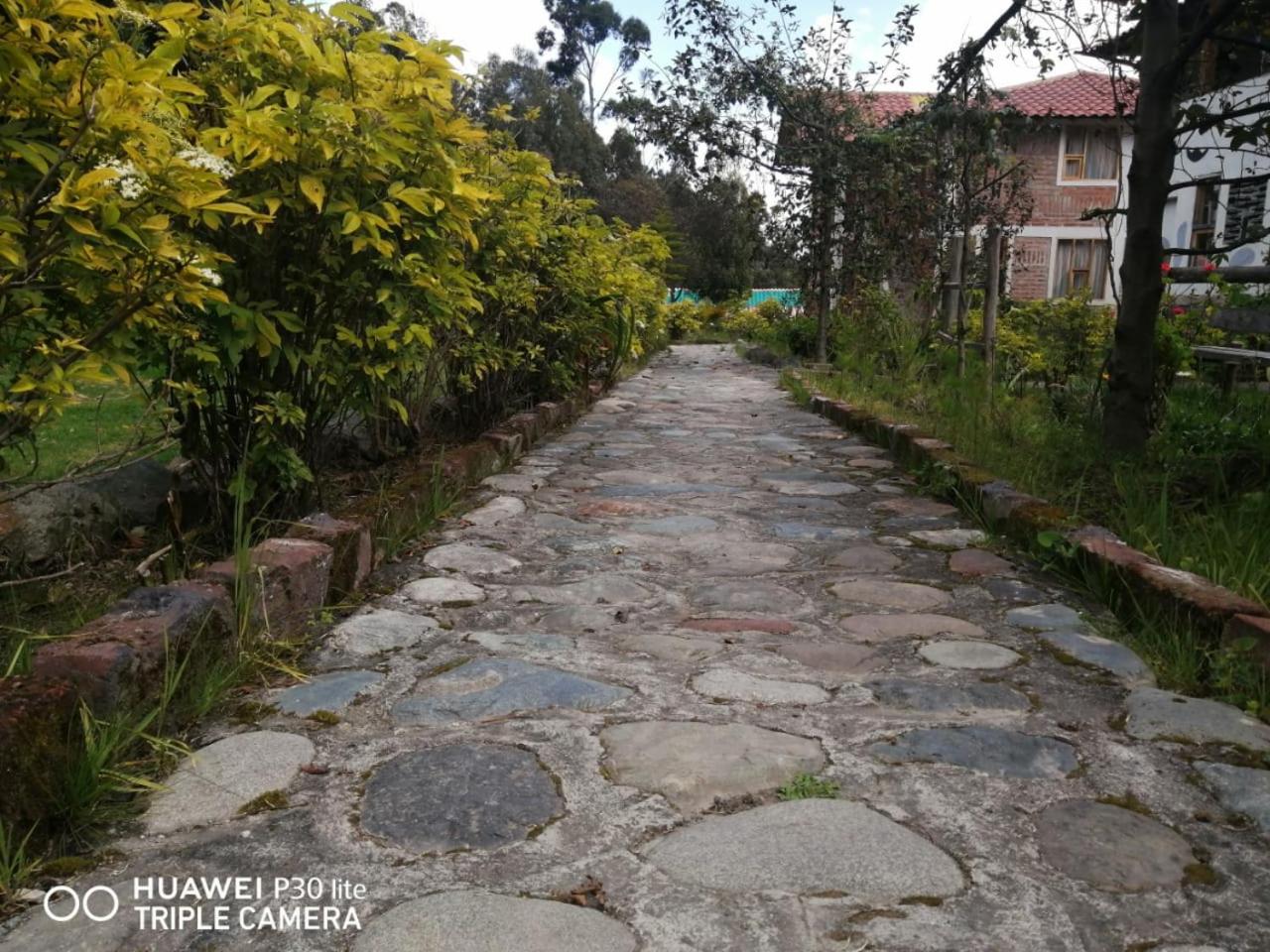Photo 20