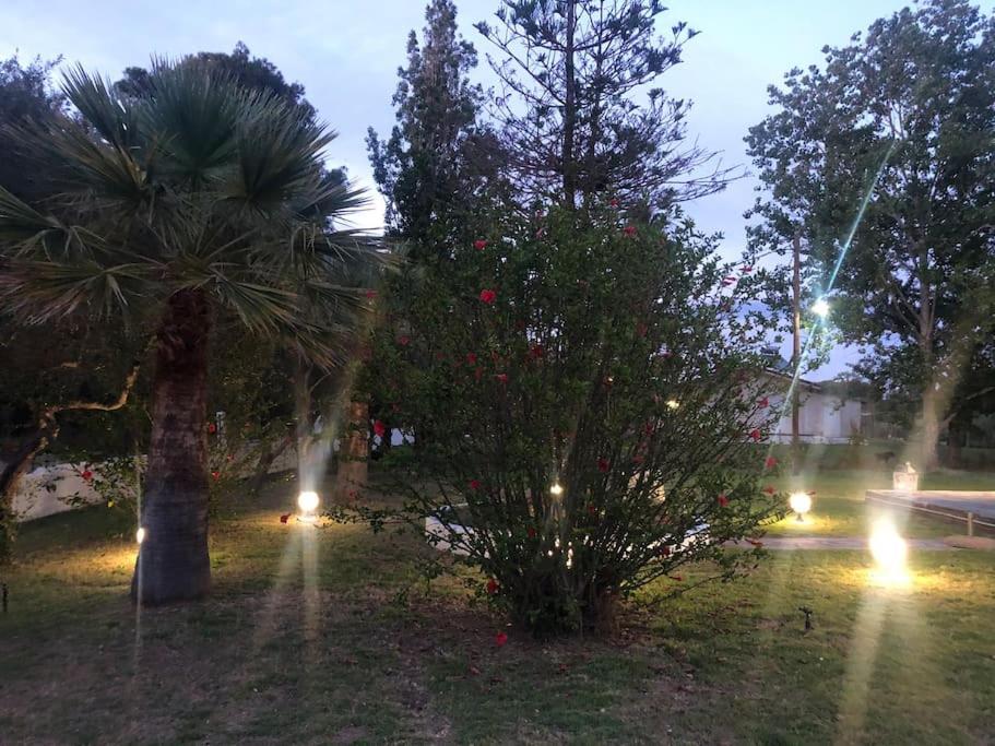 Villa Anastasia! in STROFYLIA pine FOREST!!! view 5
