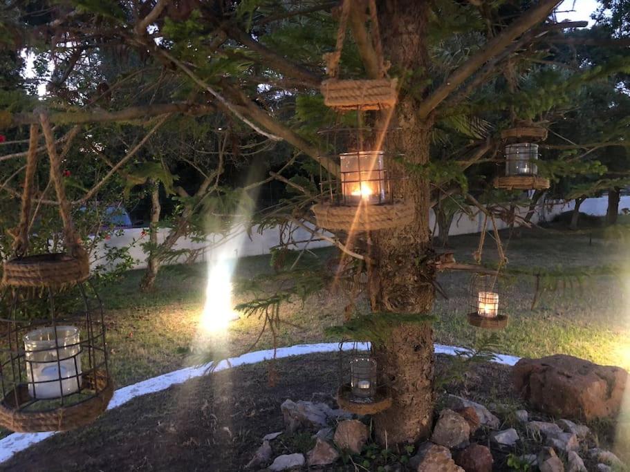 Villa Anastasia! in STROFYLIA pine FOREST!!! view 4