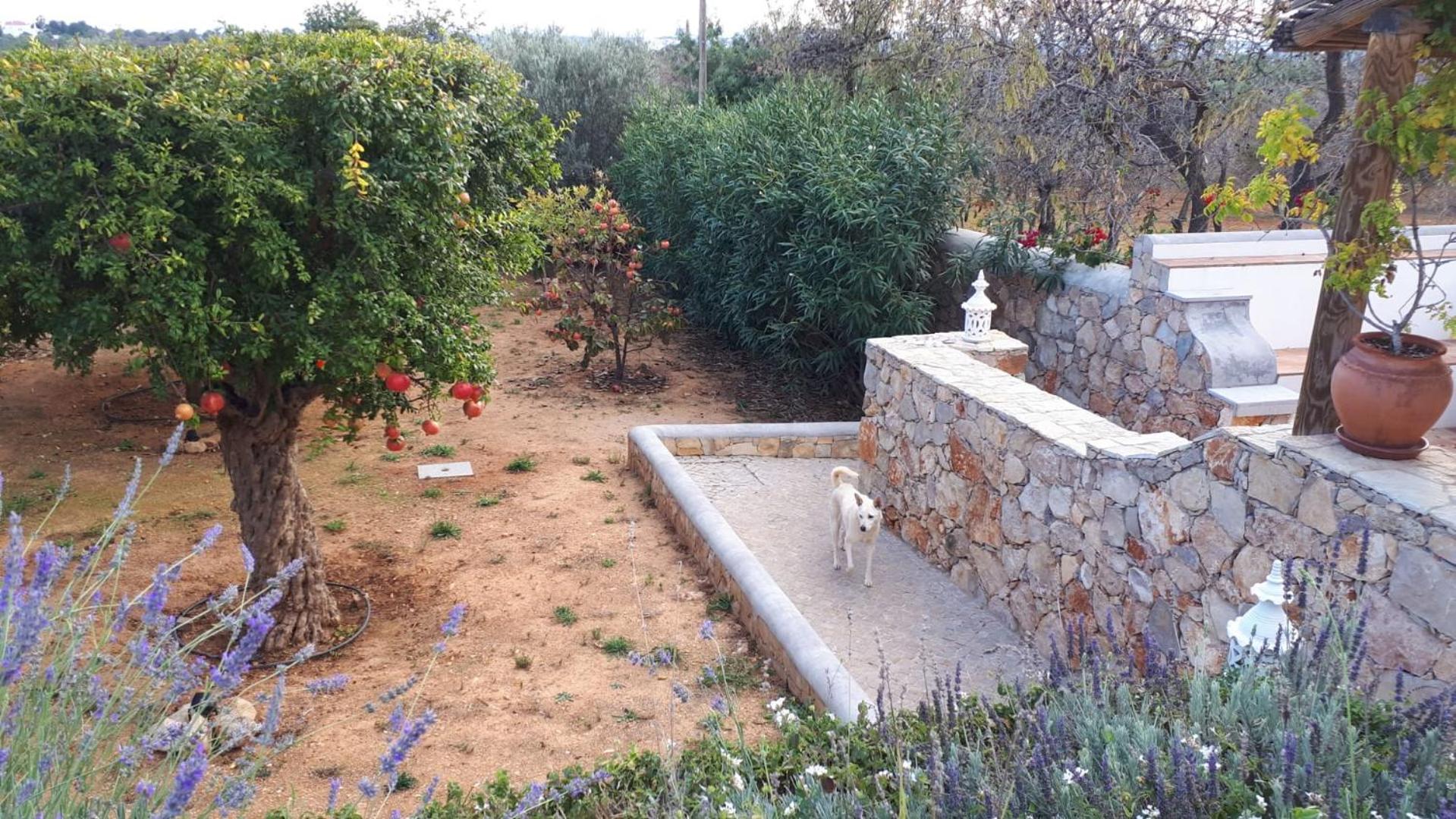 Photo 22